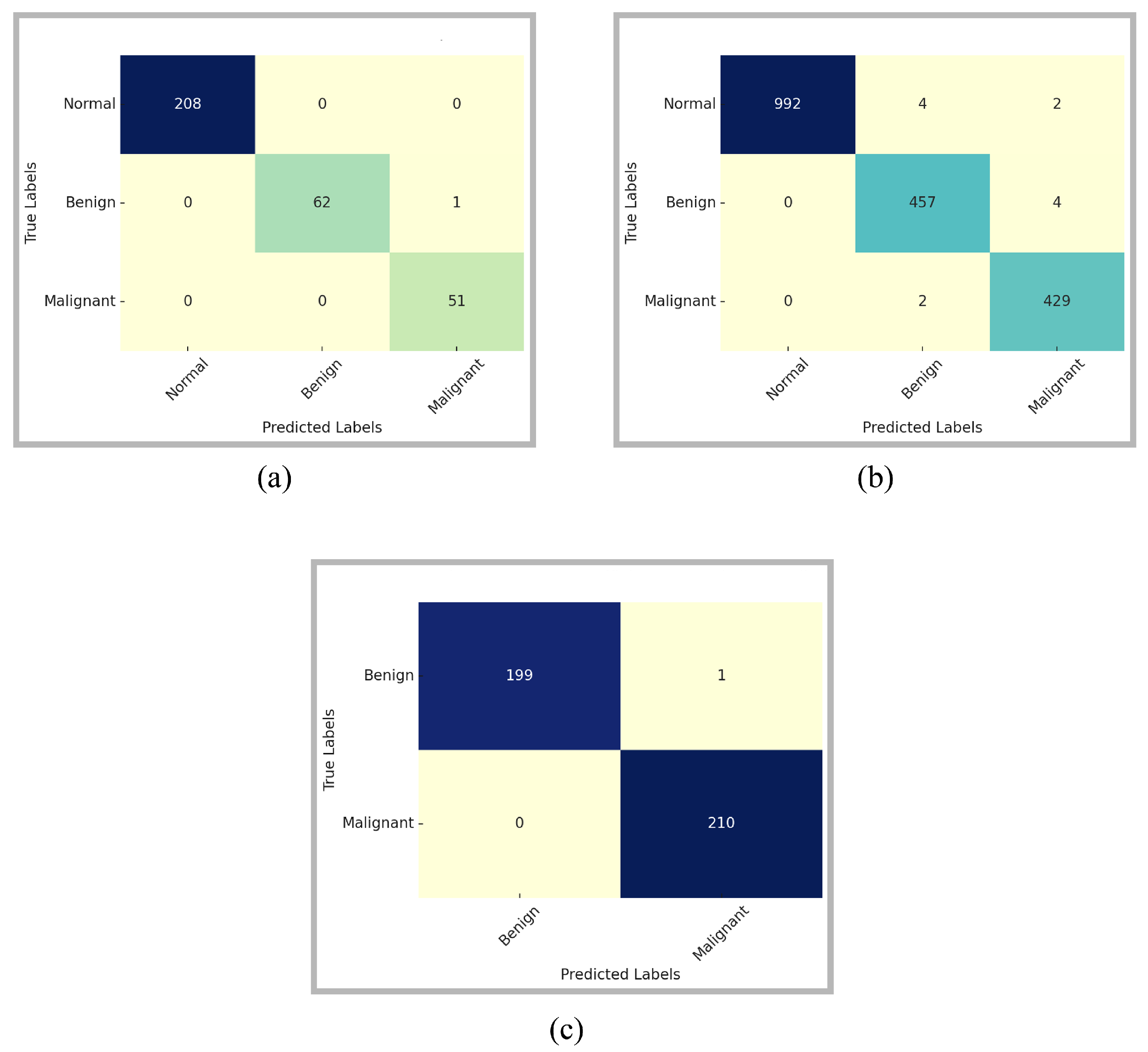 Diagnostics 16 00105 g005