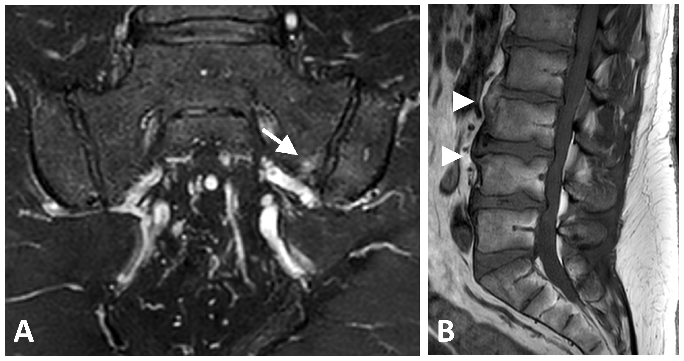 Diagnostics 16 00108 g001