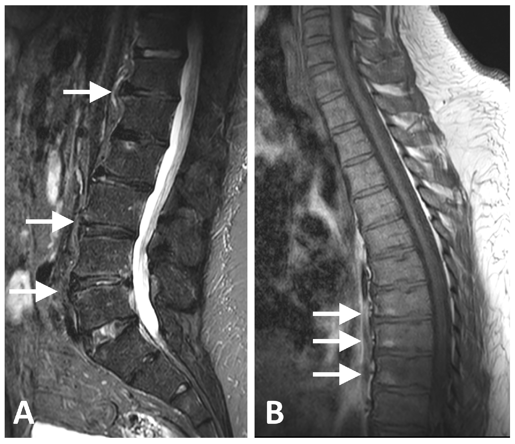Diagnostics 16 00108 g002