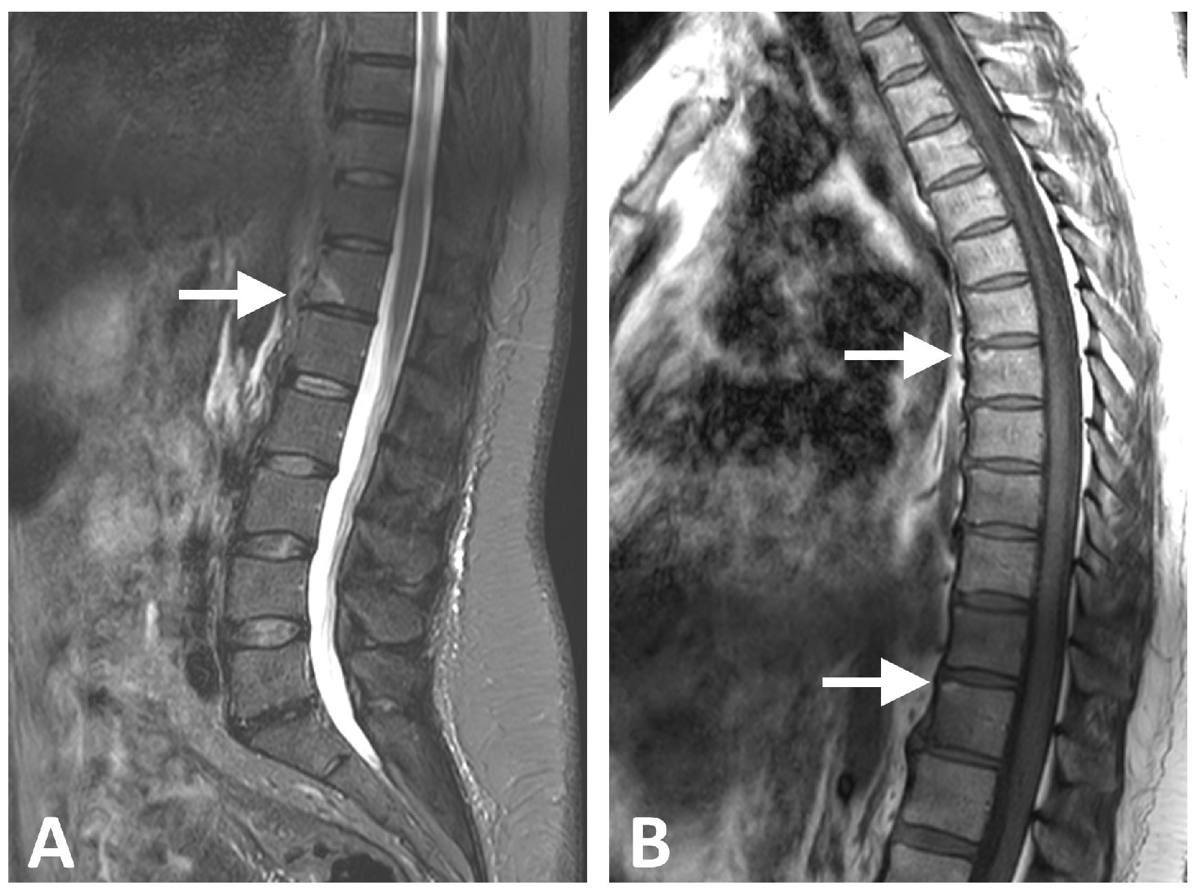 Diagnostics 16 00108 g003