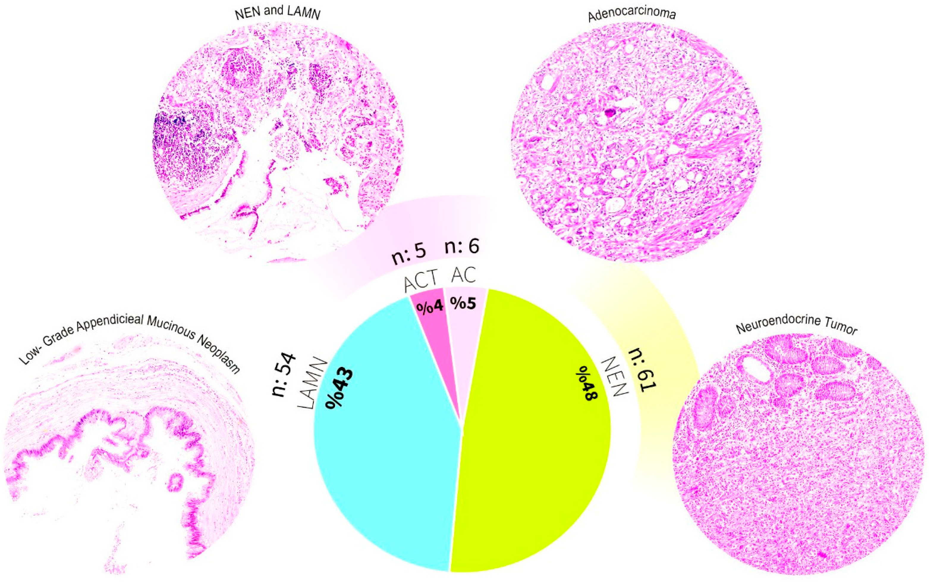Diagnostics 16 00114 g002