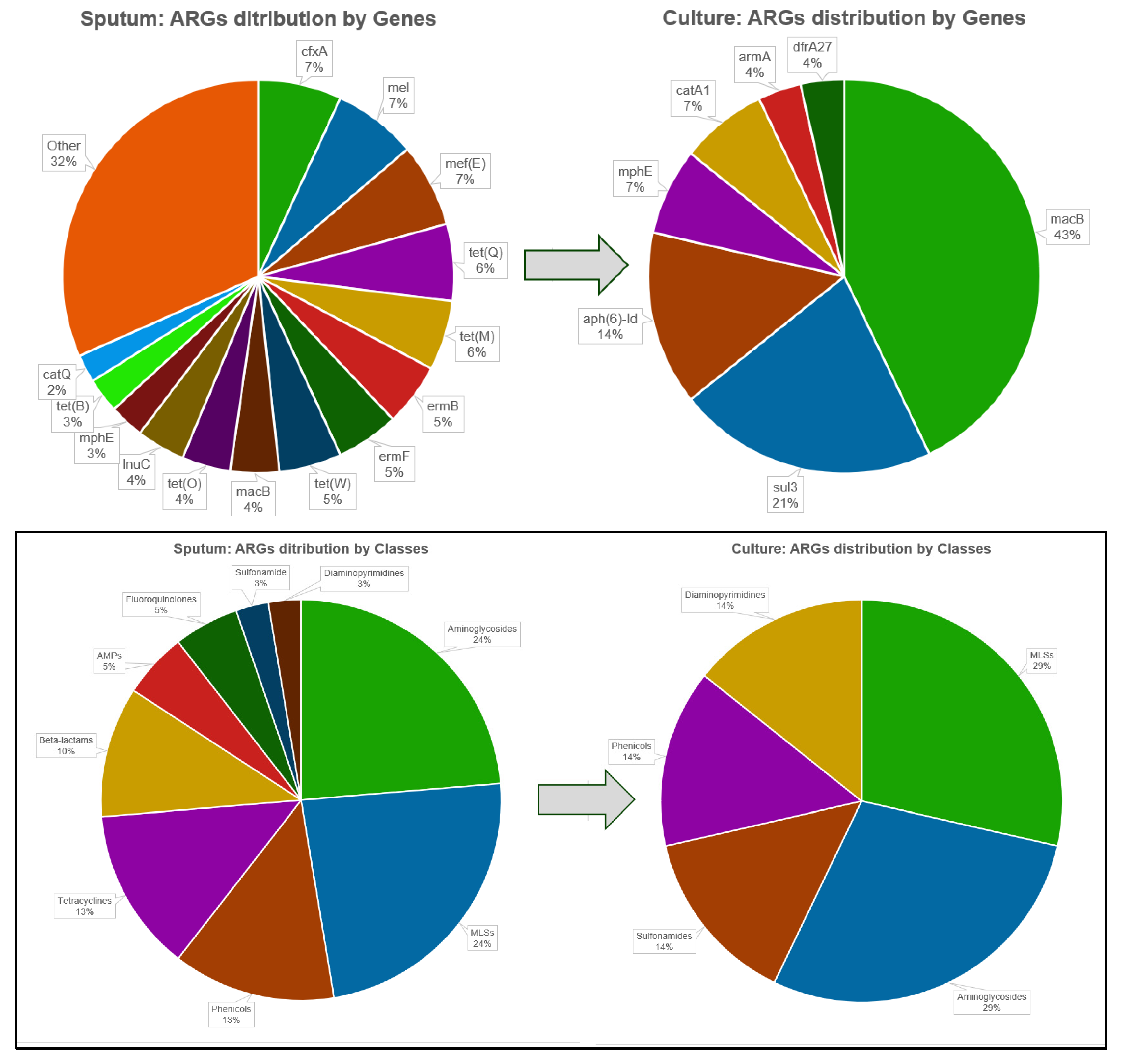 Diagnostics 16 00154 g005 Diagnostics 16 00154 g005