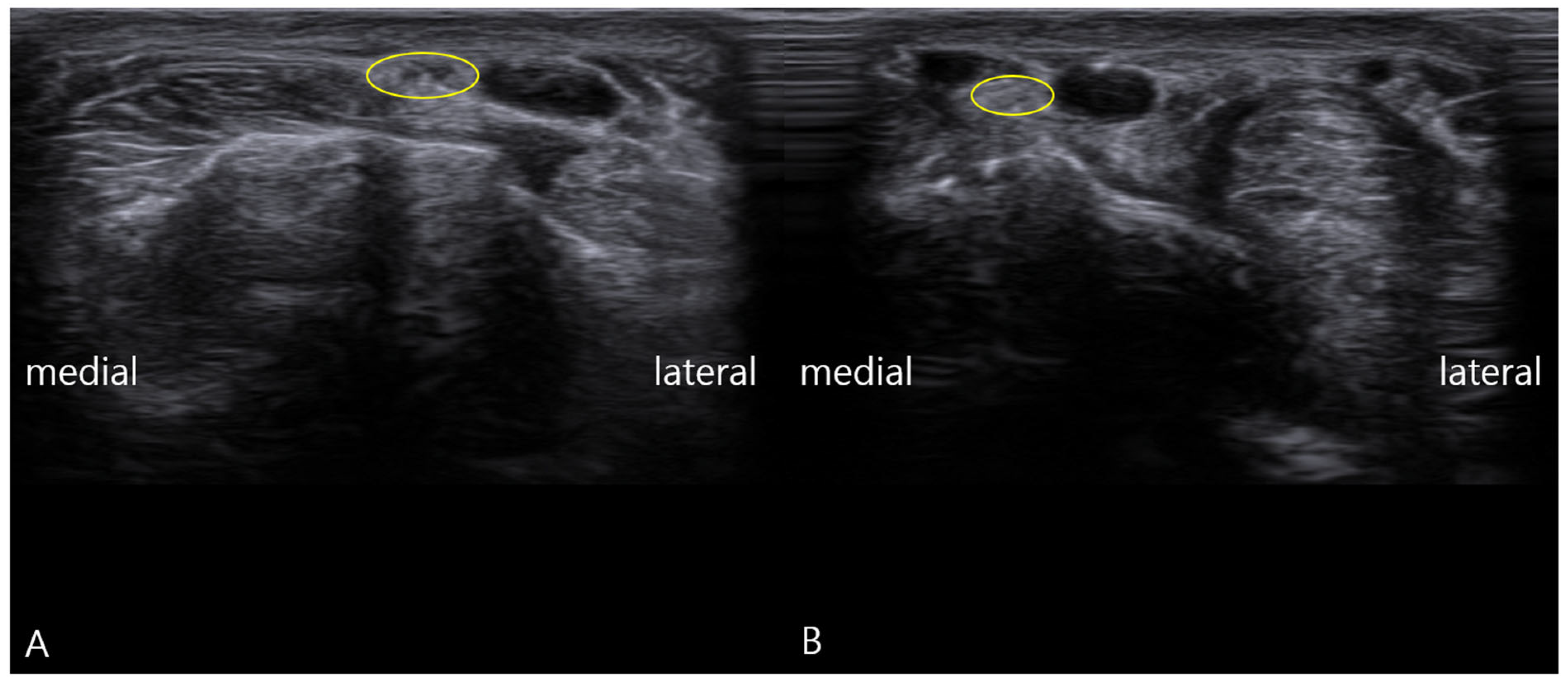 Diagnostics 16 00156 g001 Diagnostics 16 00156 g001