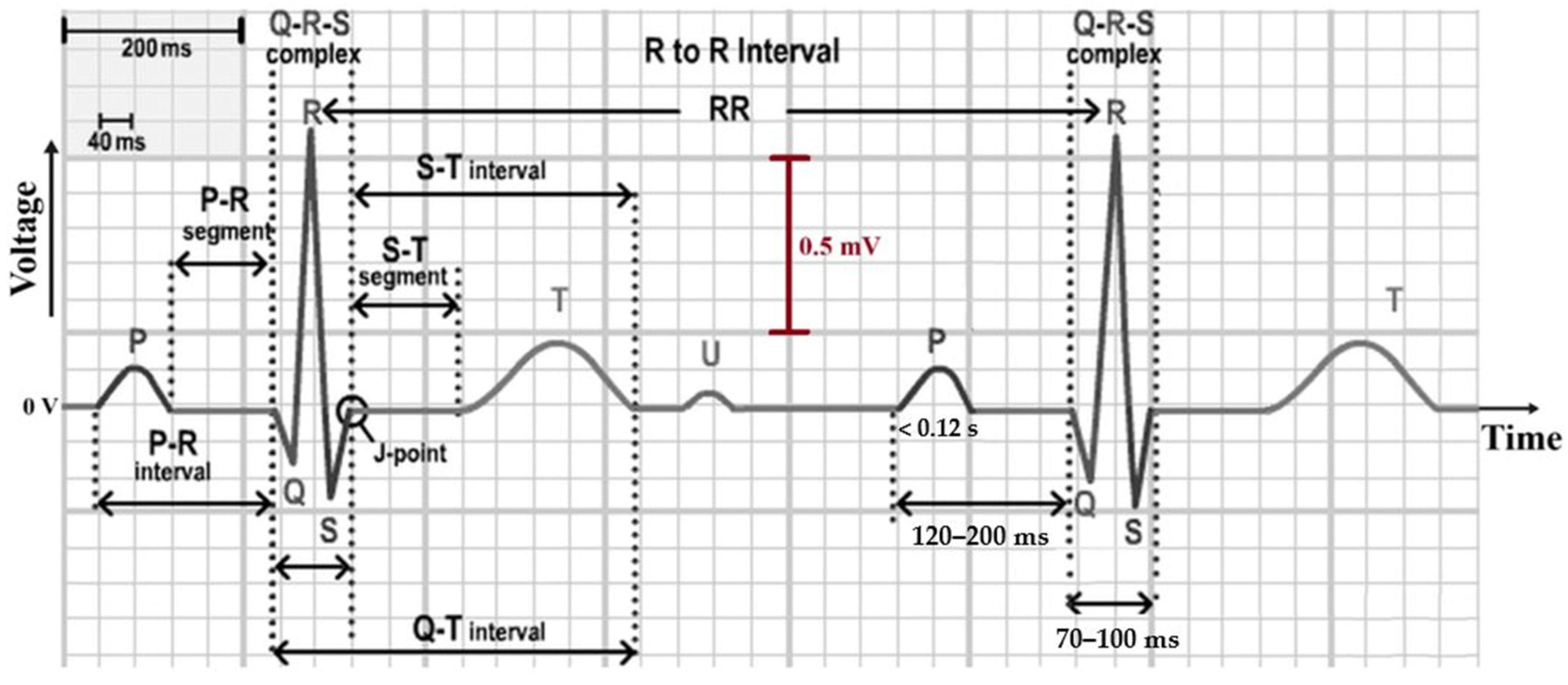 Diagnostics 16 00161 g001 Diagnostics 16 00161 g001