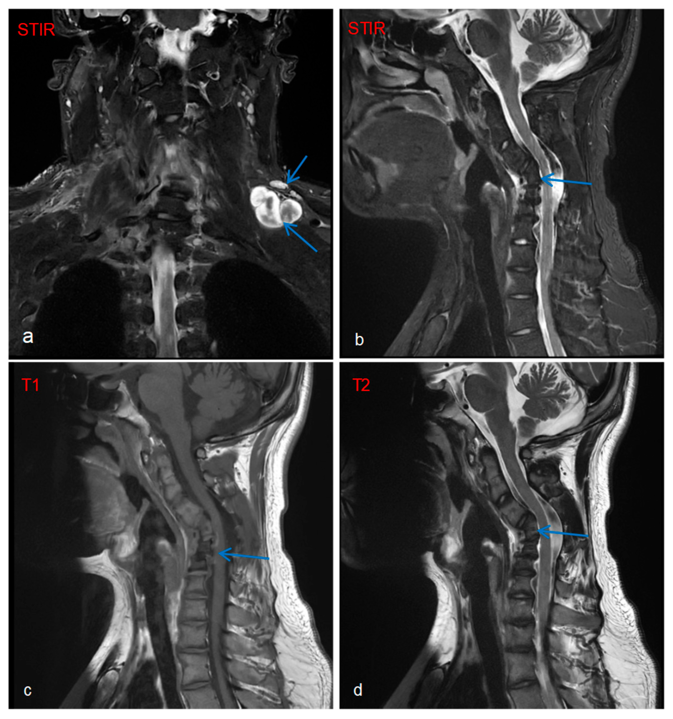 Diagnostics 16 00163 g002