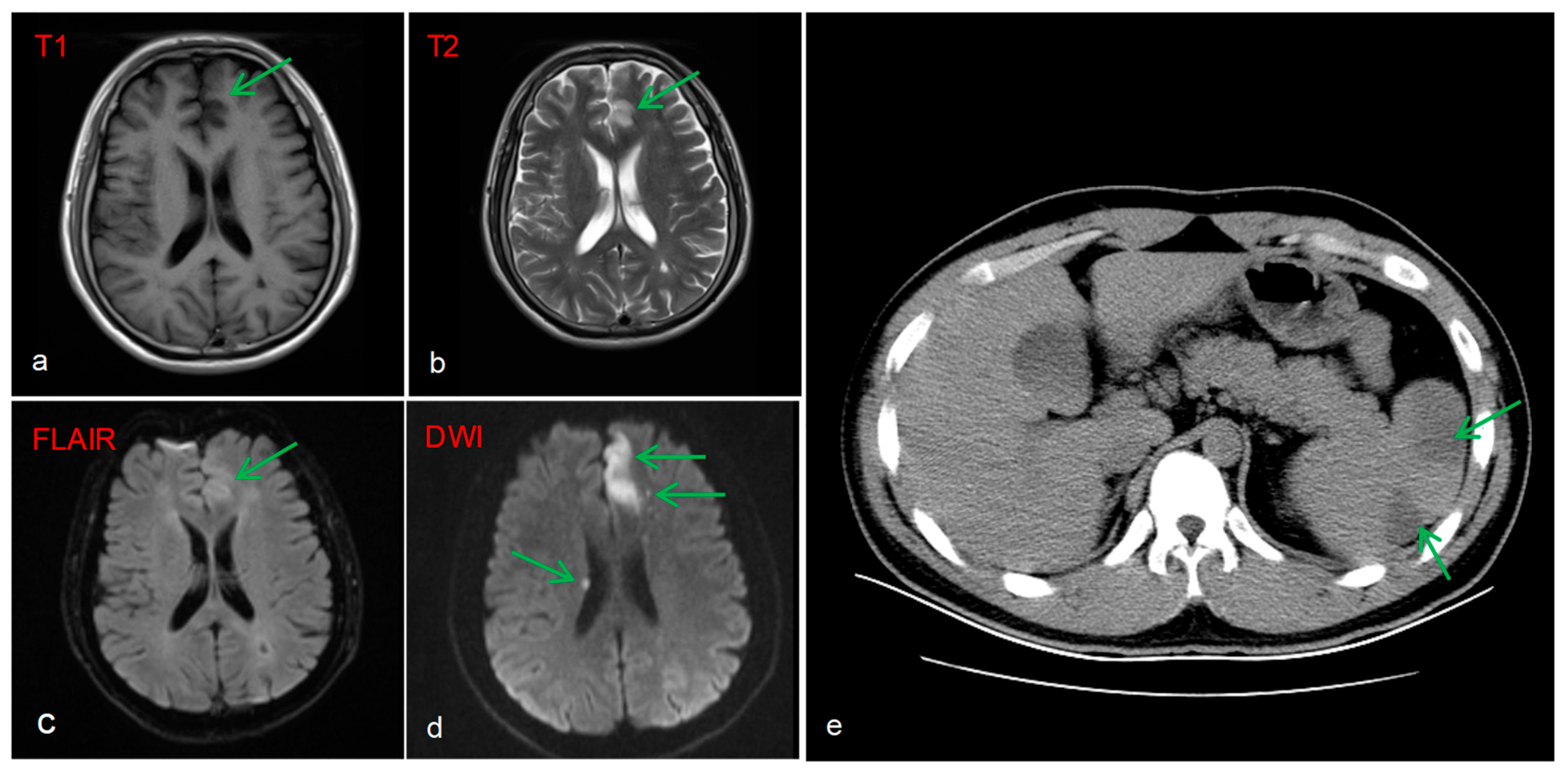 Diagnostics 16 00163 g003