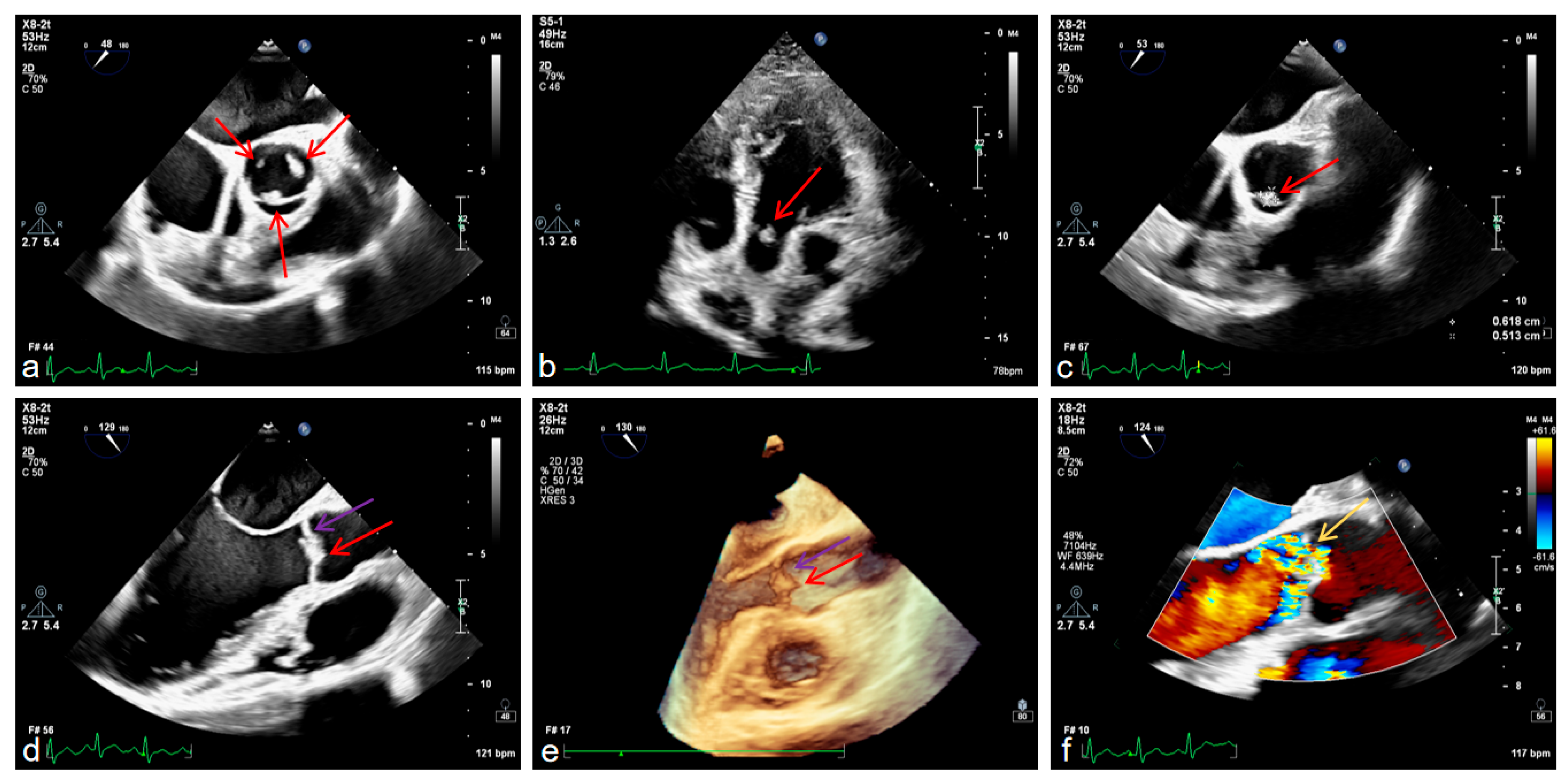 Diagnostics 16 00163 g004