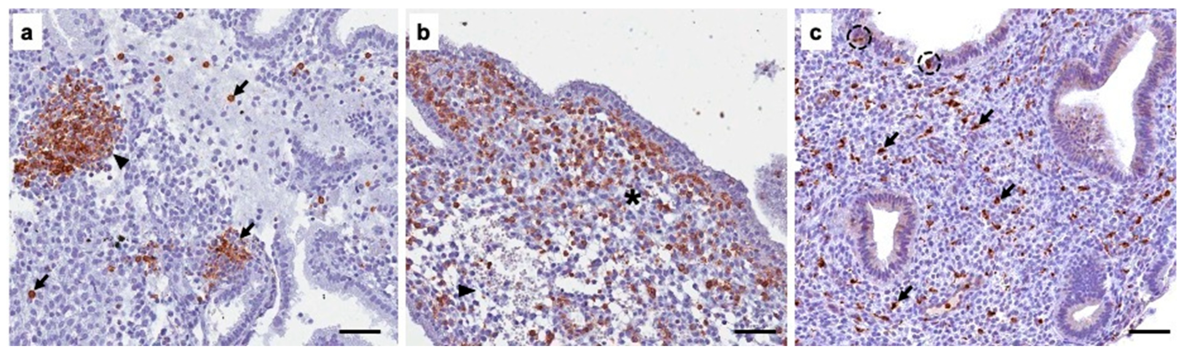 Diagnostics 16 00164 g004 Diagnostics 16 00164 g004