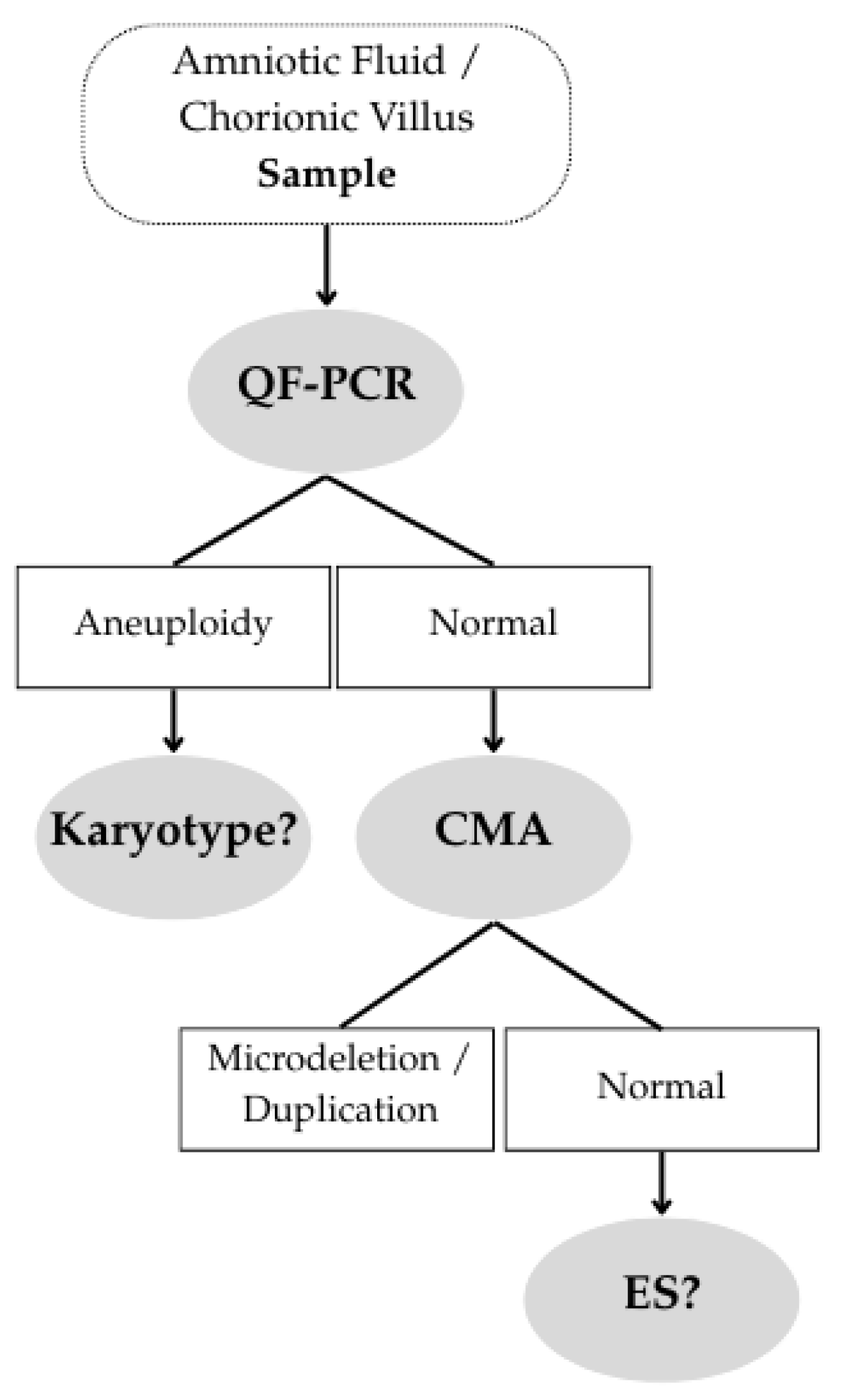 Diagnostics 16 00185 g001