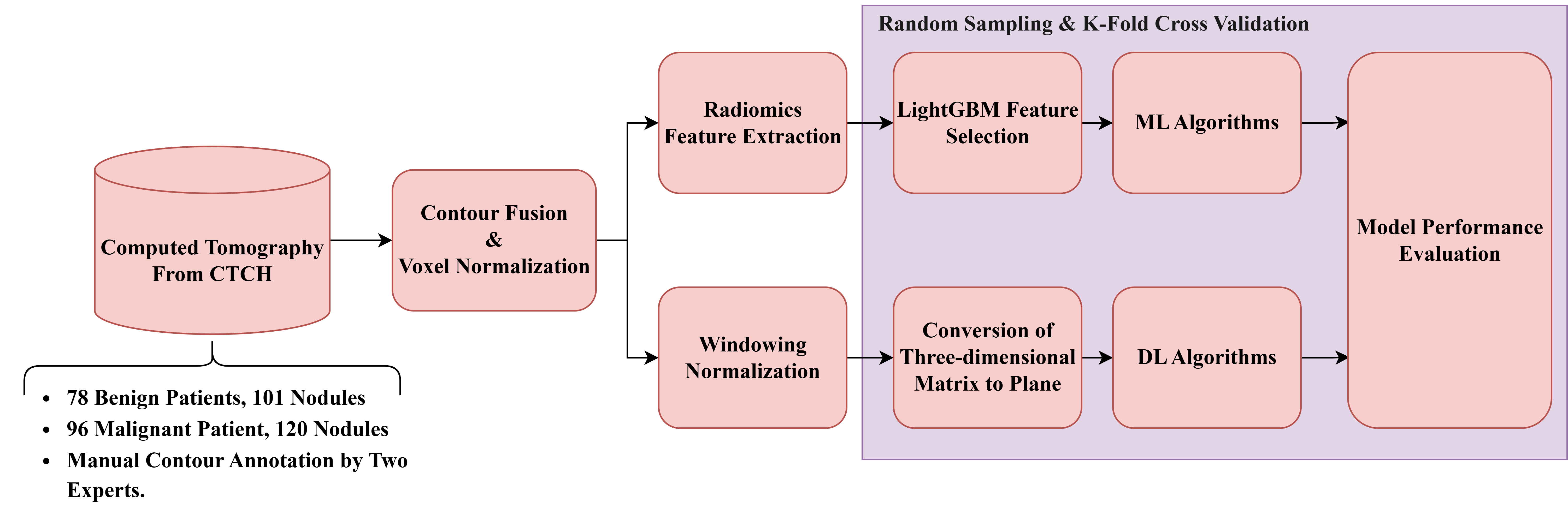 Diagnostics 16 00186 g002