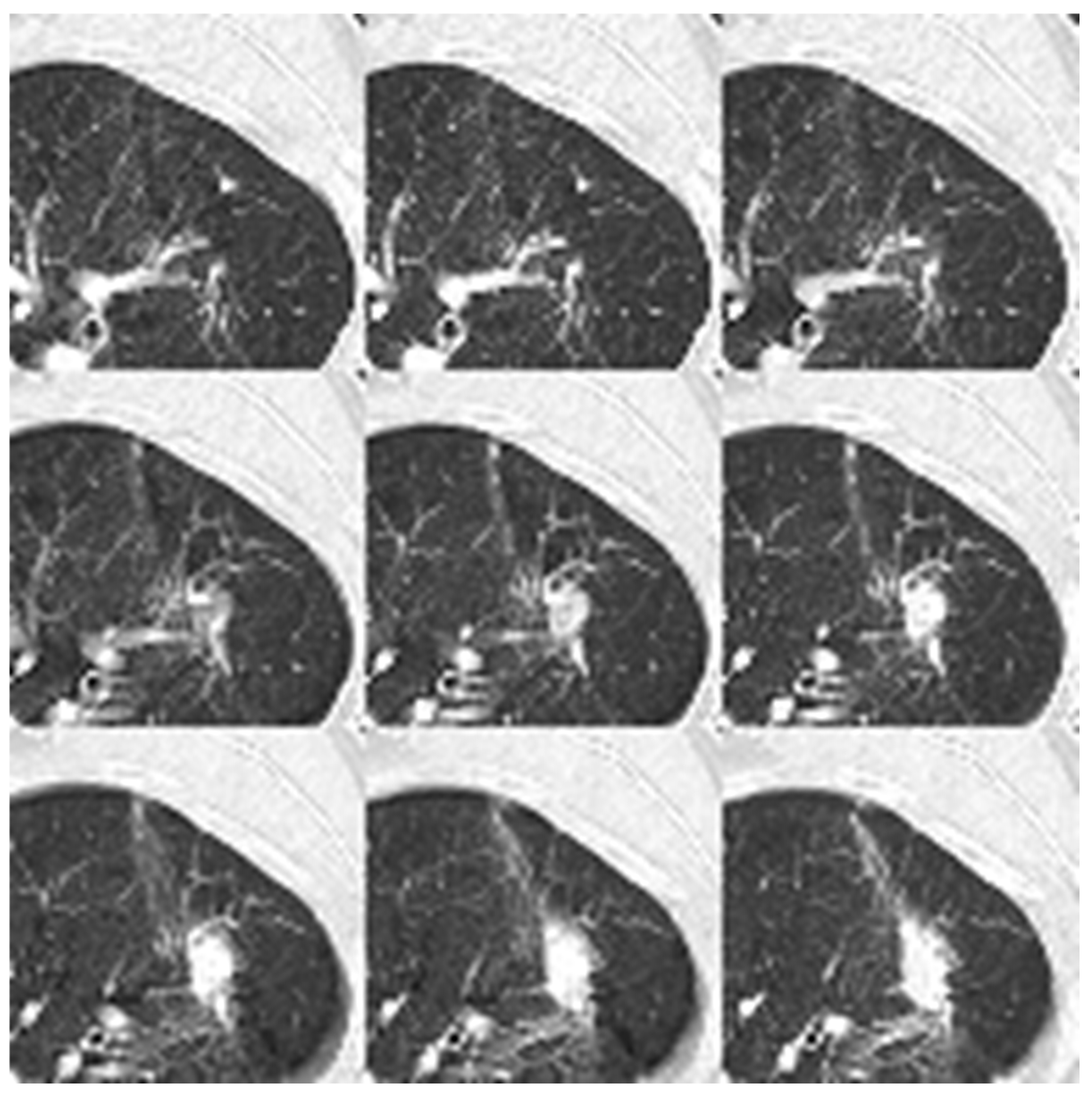 Diagnostics 16 00186 g007