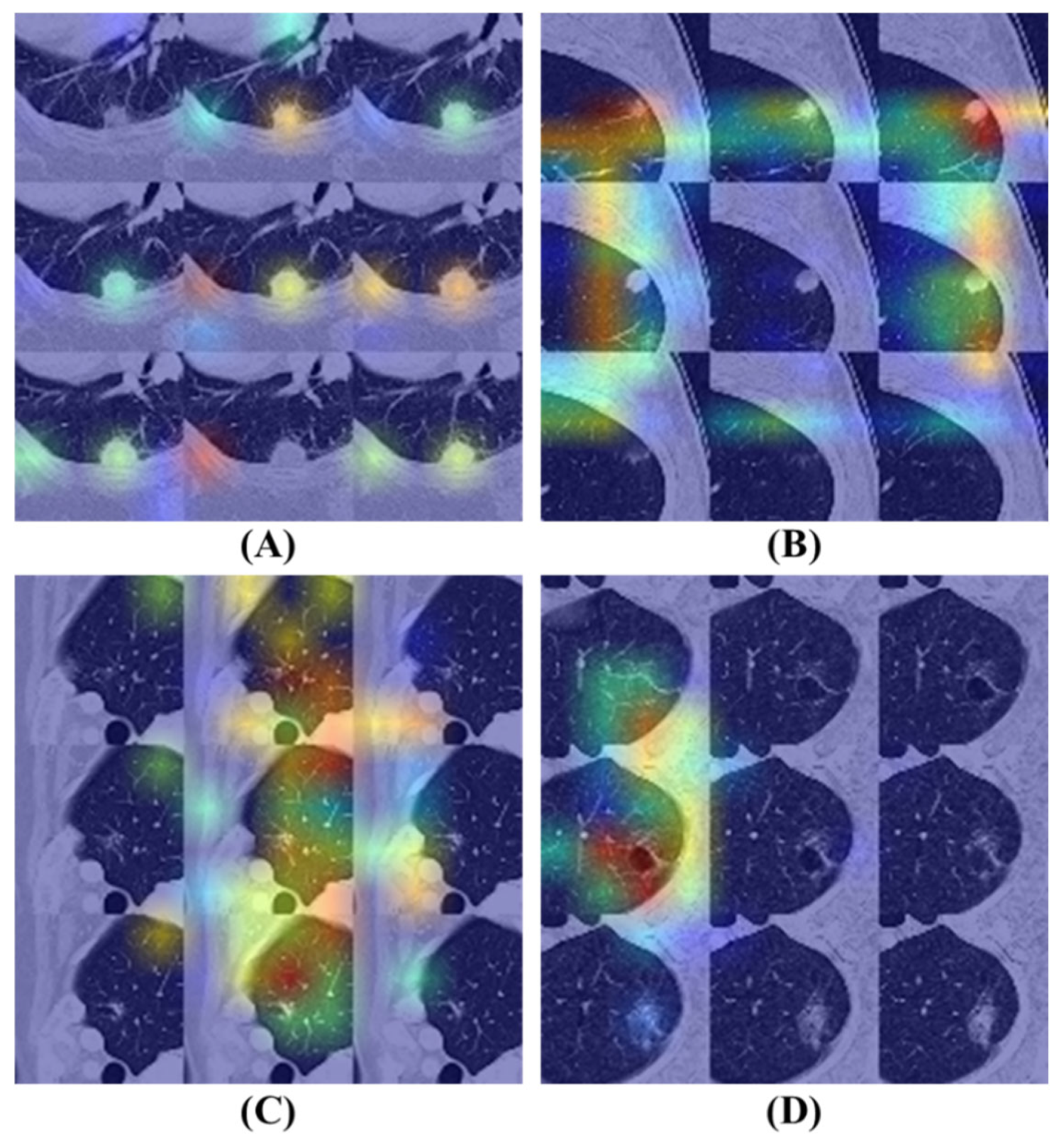 Diagnostics 16 00186 g008