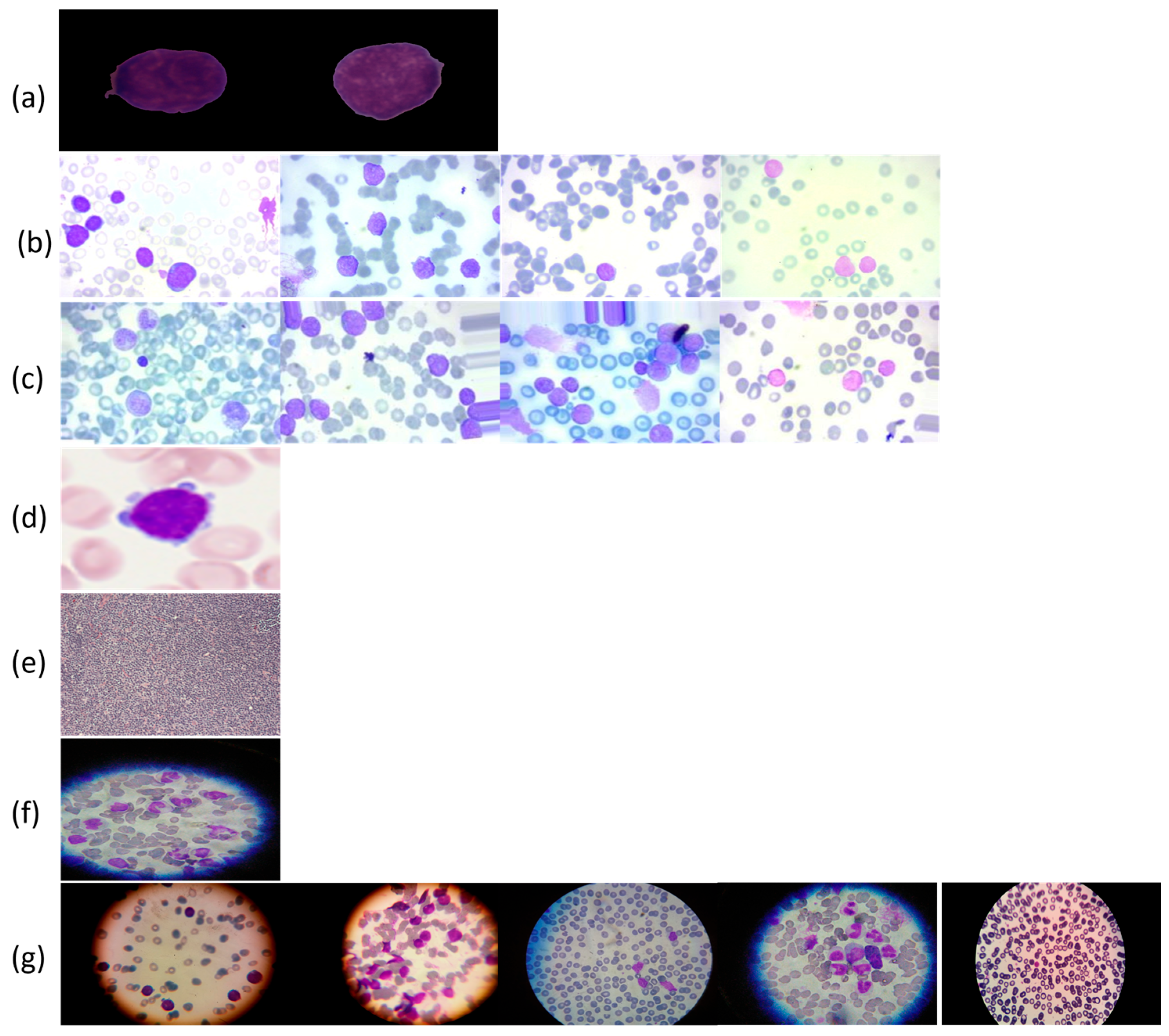 Diagnostics 16 00212 g006 Diagnostics 16 00212 g006