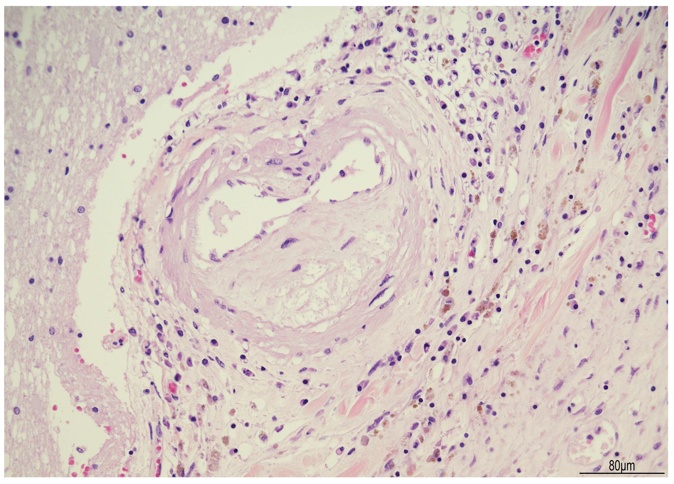 Diagnostics 16 00228 g005