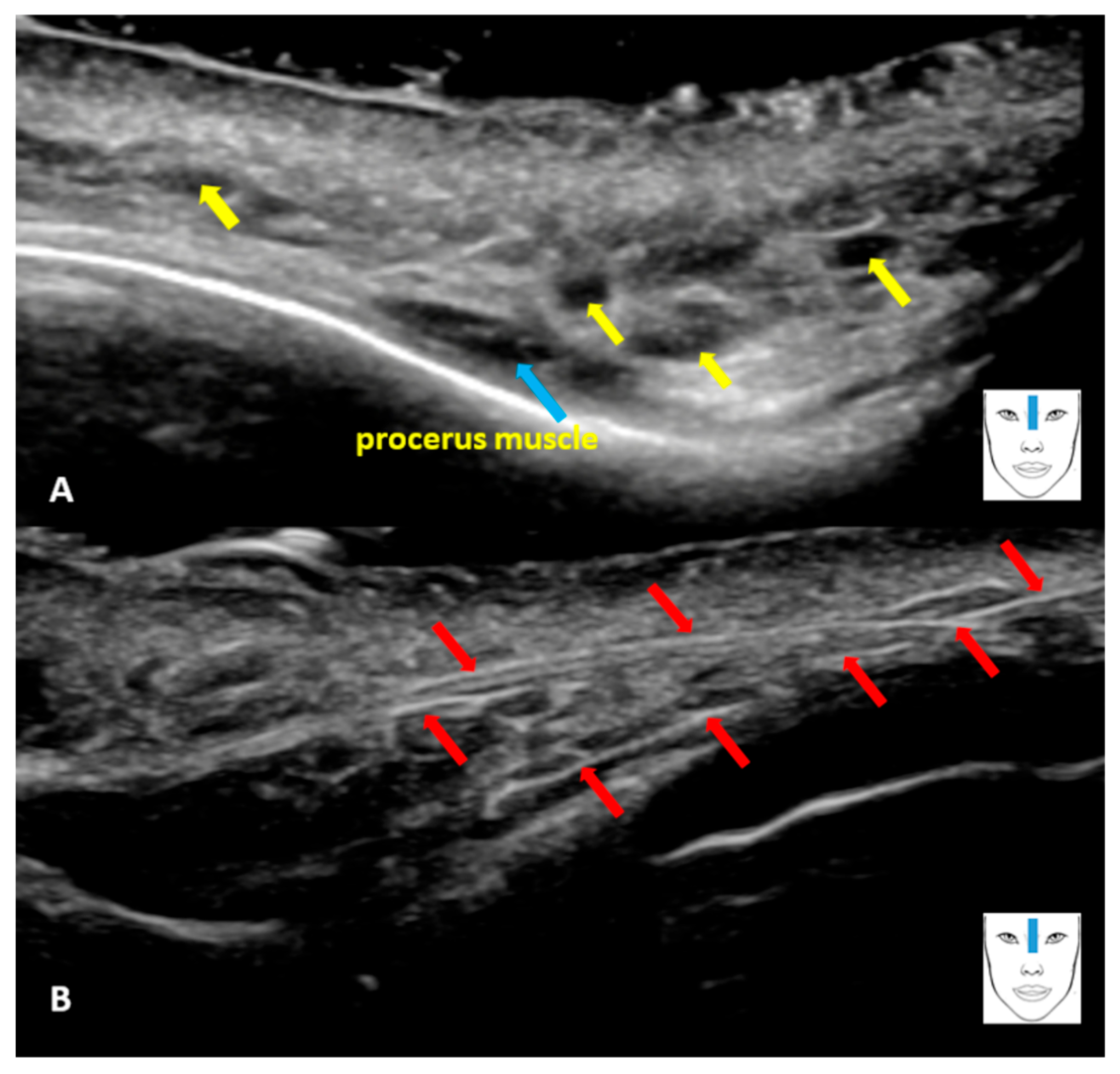 Diagnostics 16 00271 g001