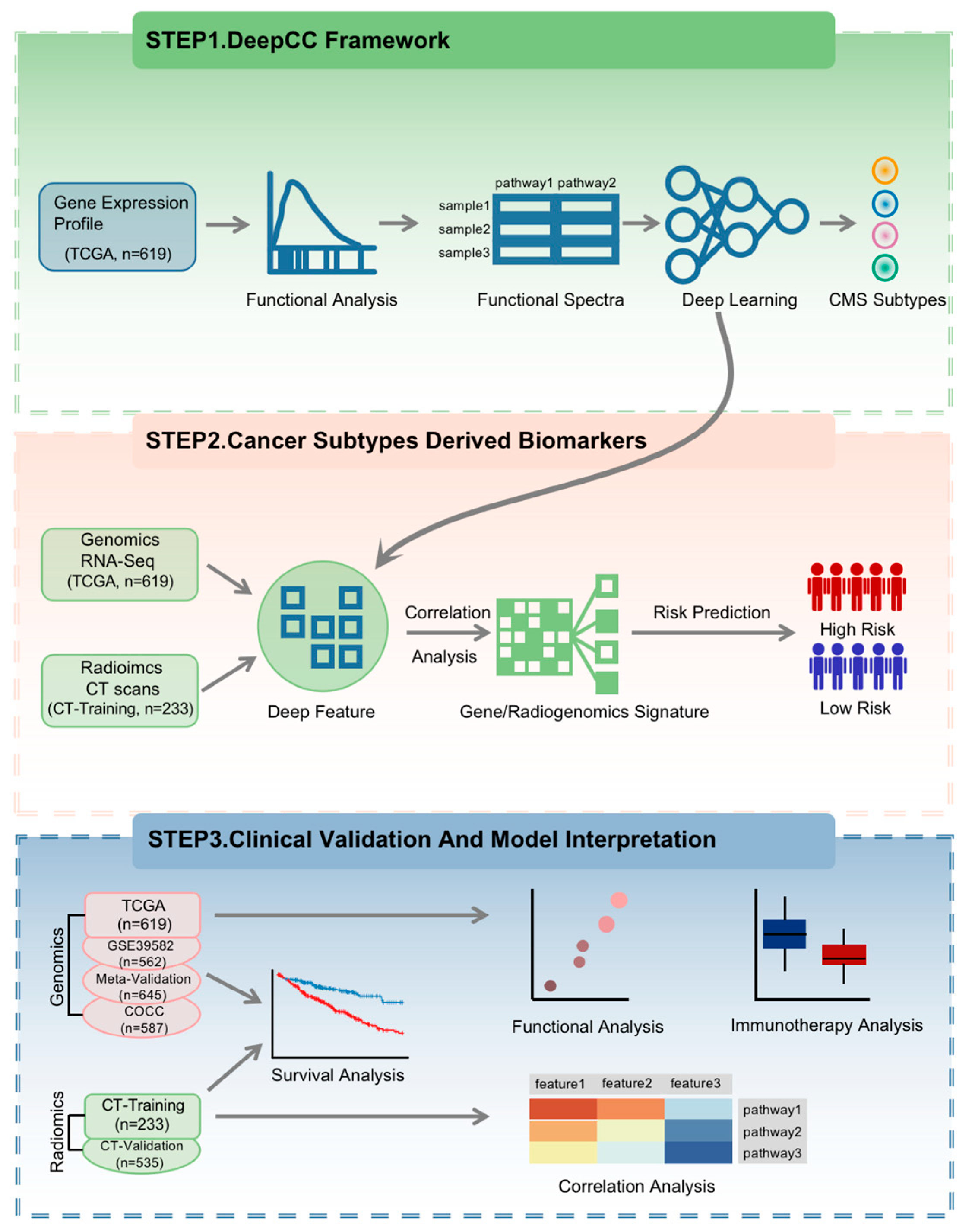Diagnostics 16 00273 g001