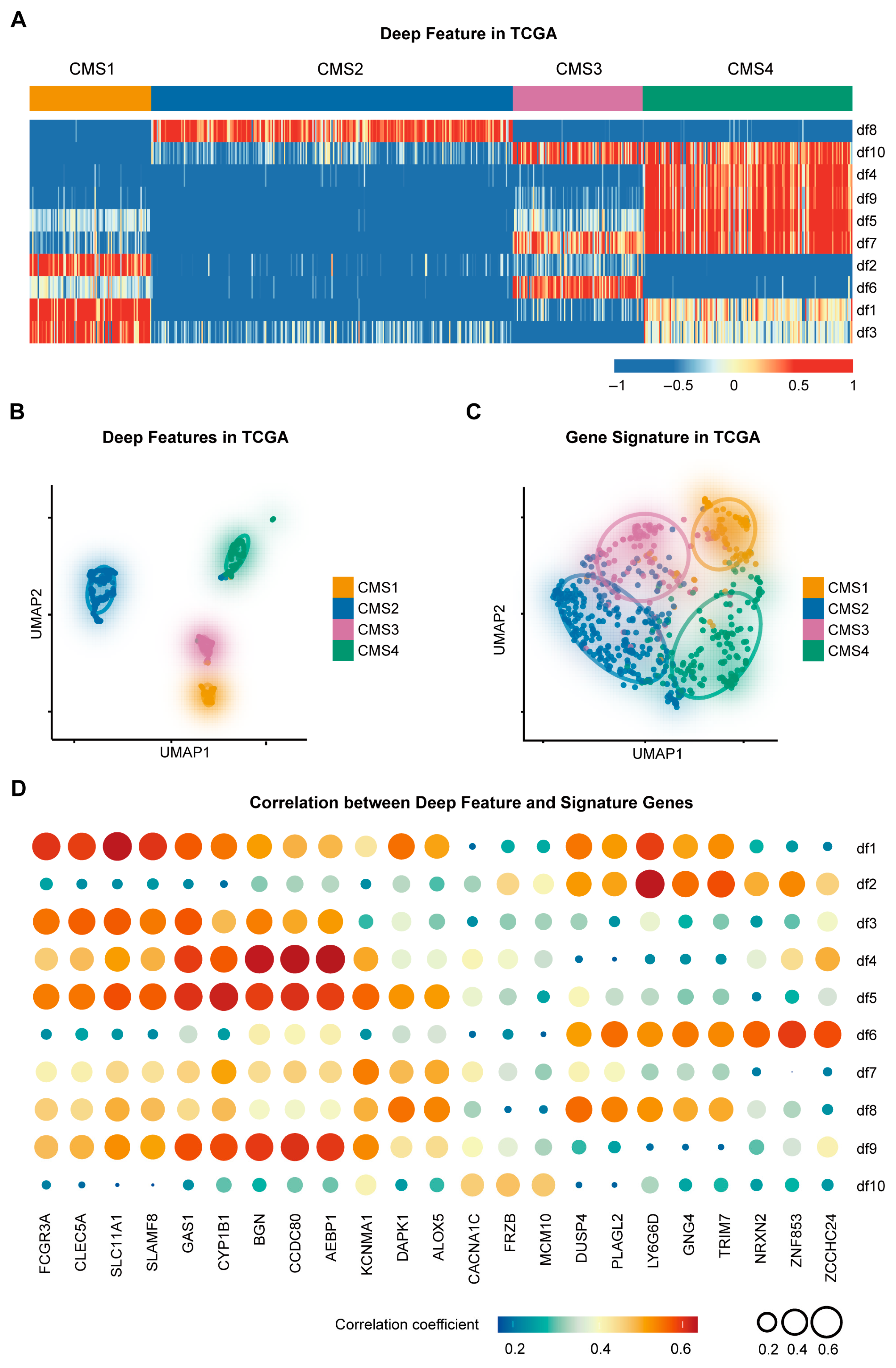 Diagnostics 16 00273 g002