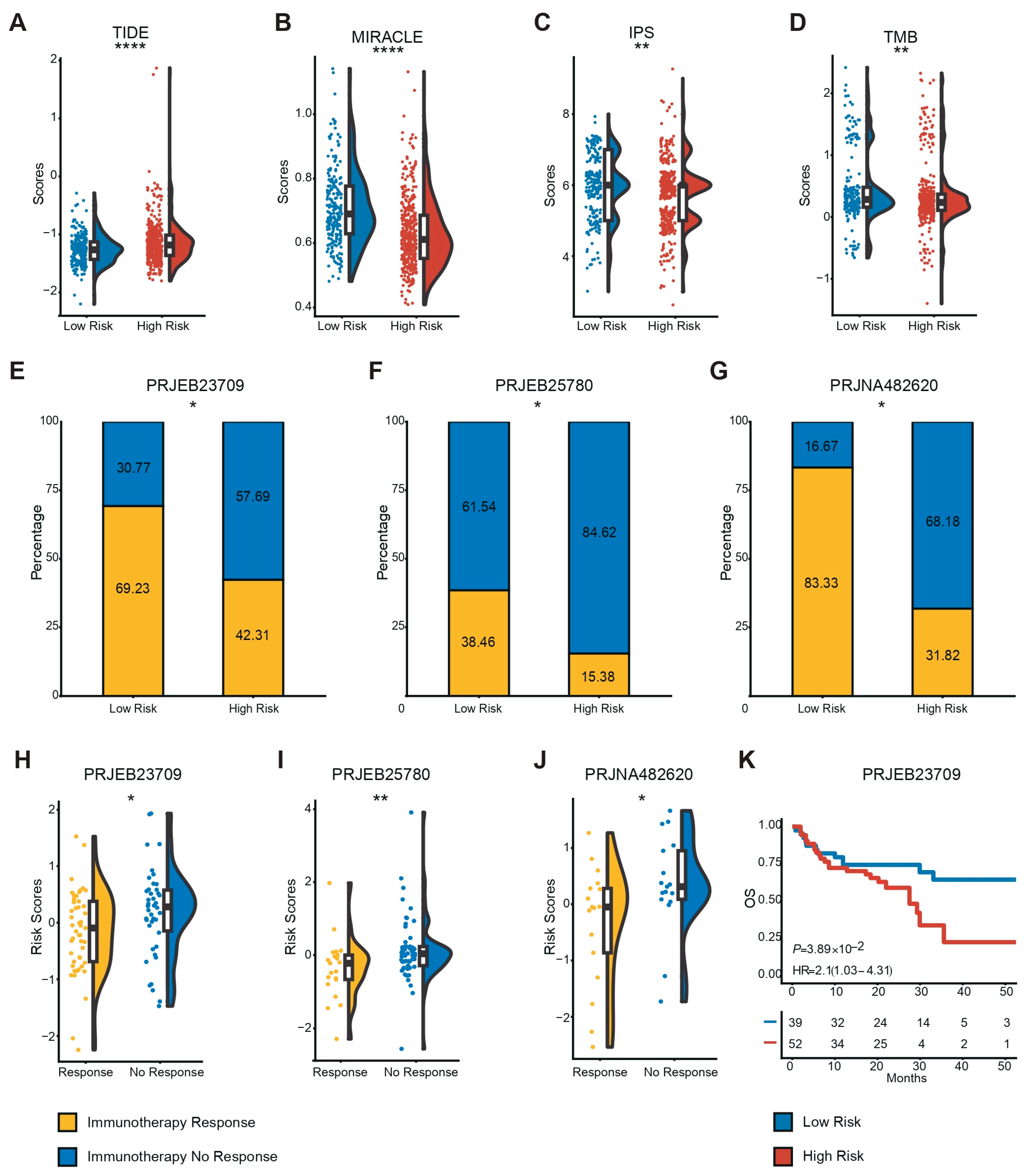 Diagnostics 16 00273 g005