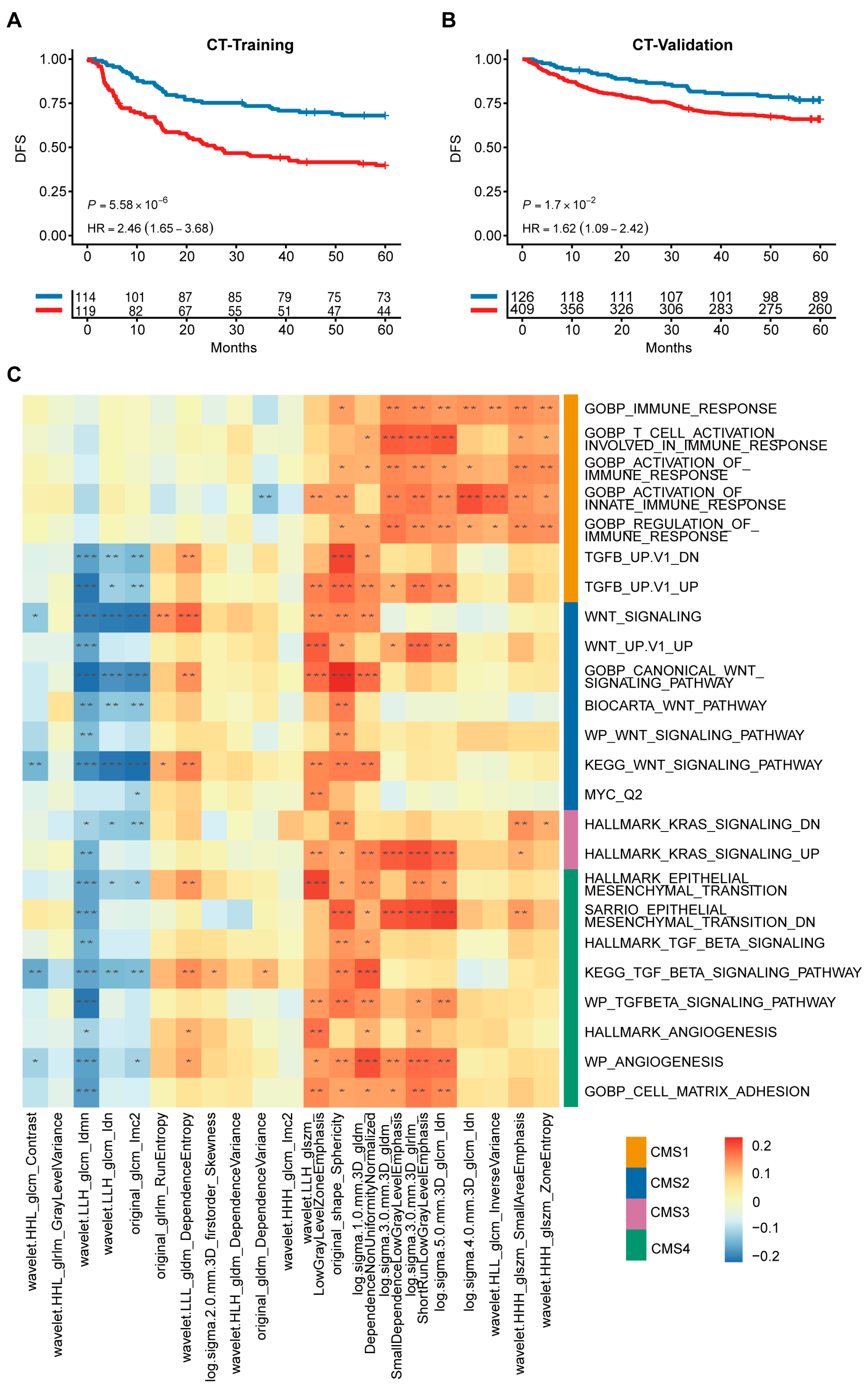 Diagnostics 16 00273 g006
