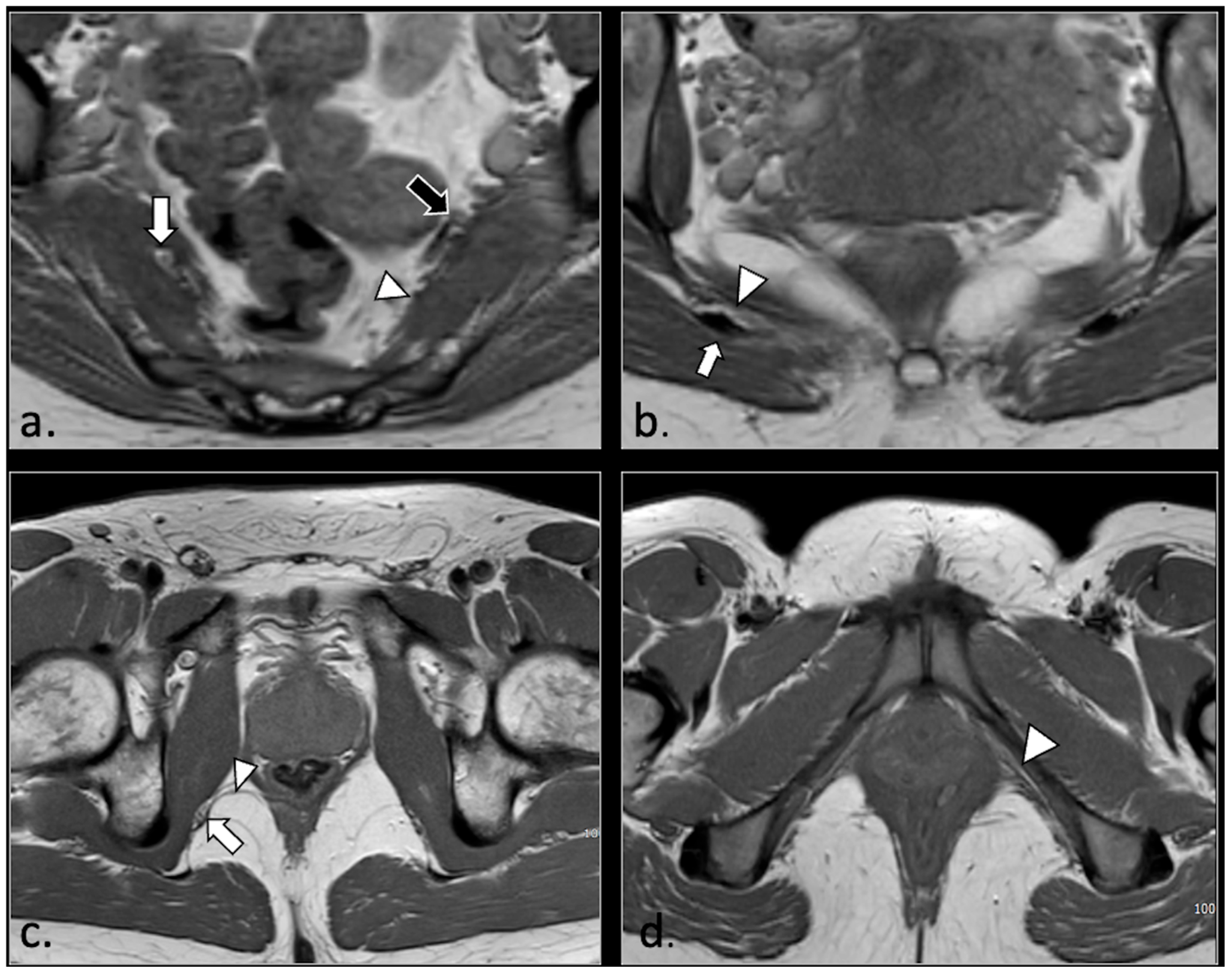 Diagnostics 16 00326 g001
