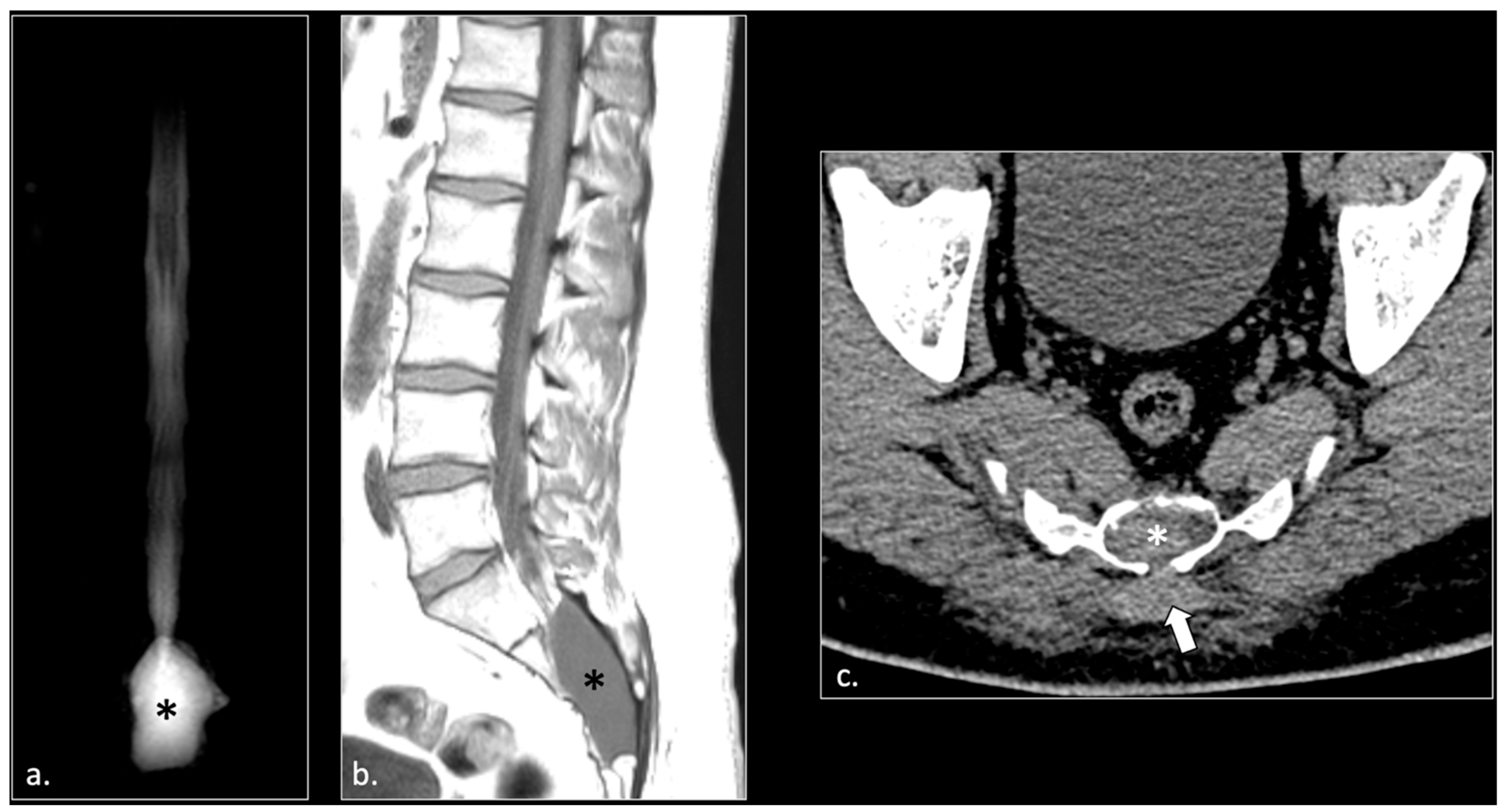 Diagnostics 16 00326 g002