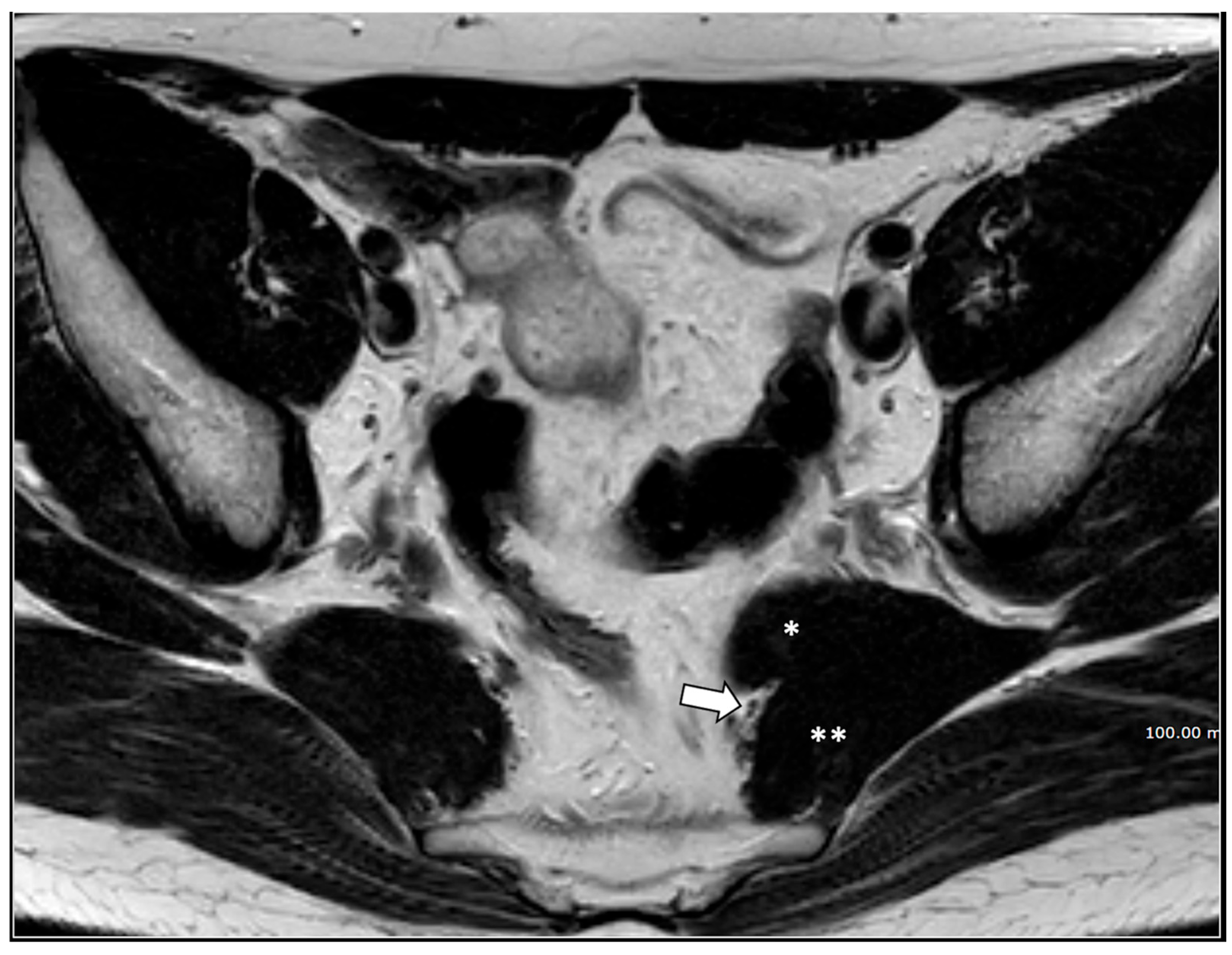 Diagnostics 16 00326 g003