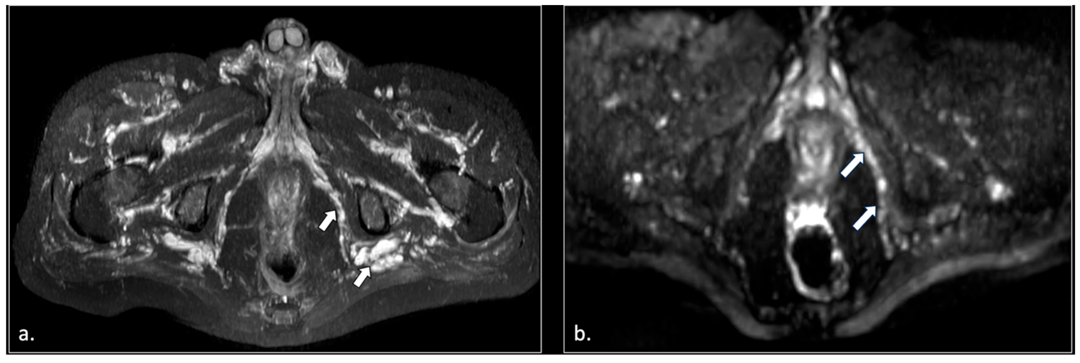 Diagnostics 16 00326 g005