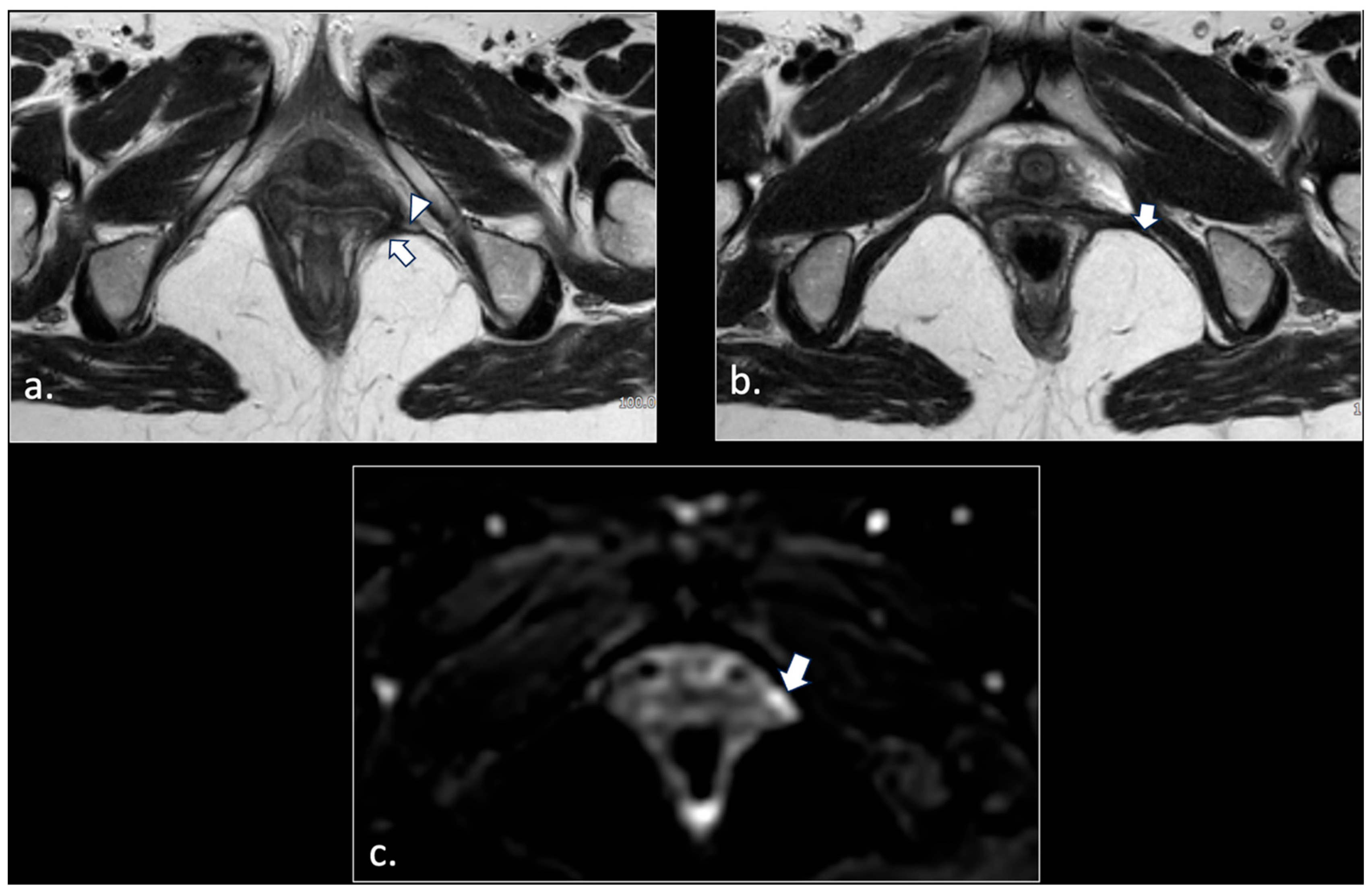 Diagnostics 16 00326 g007