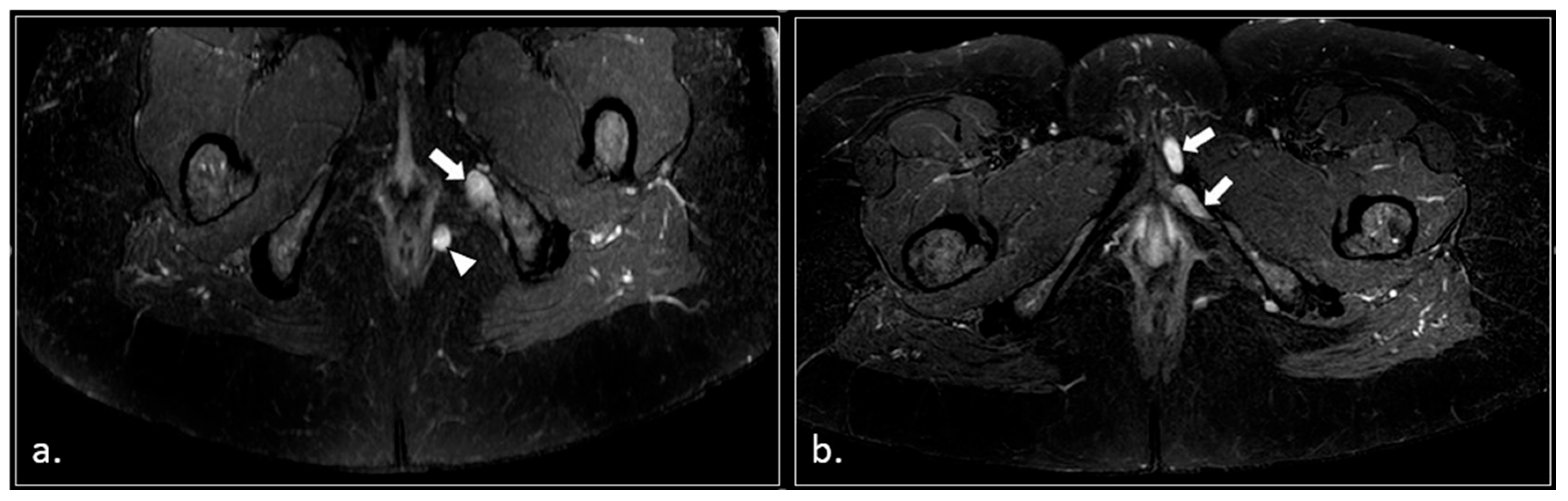 Diagnostics 16 00326 g008
