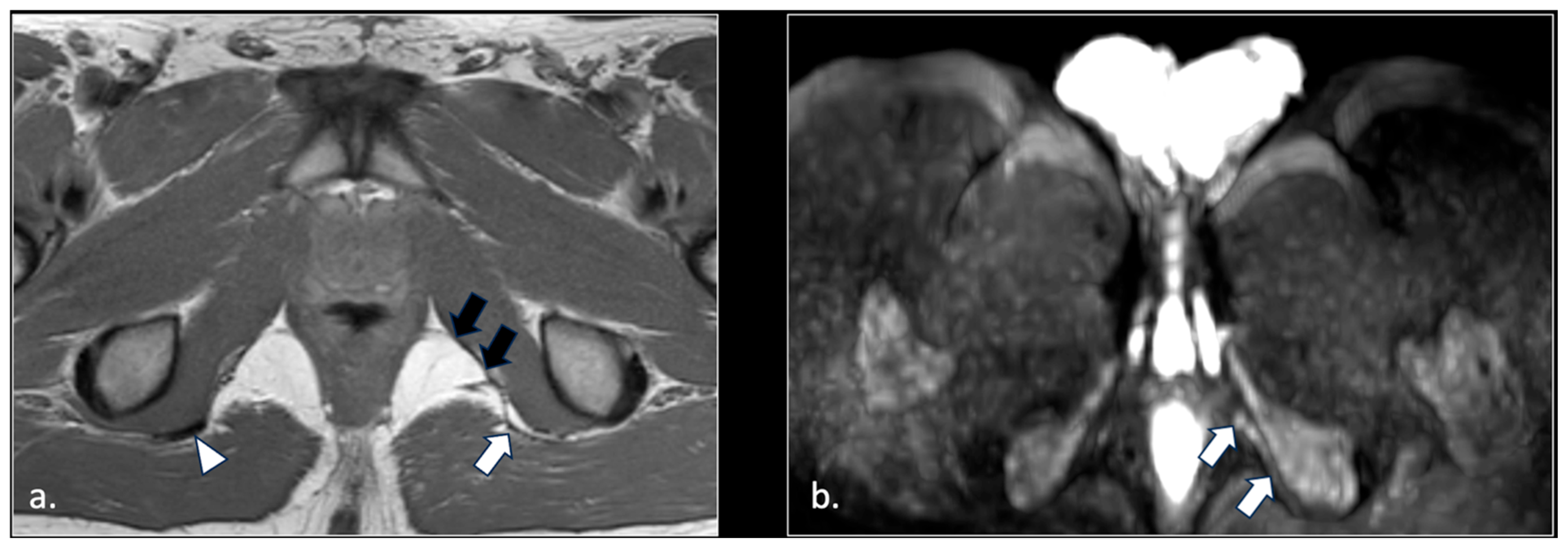 Diagnostics 16 00326 g009