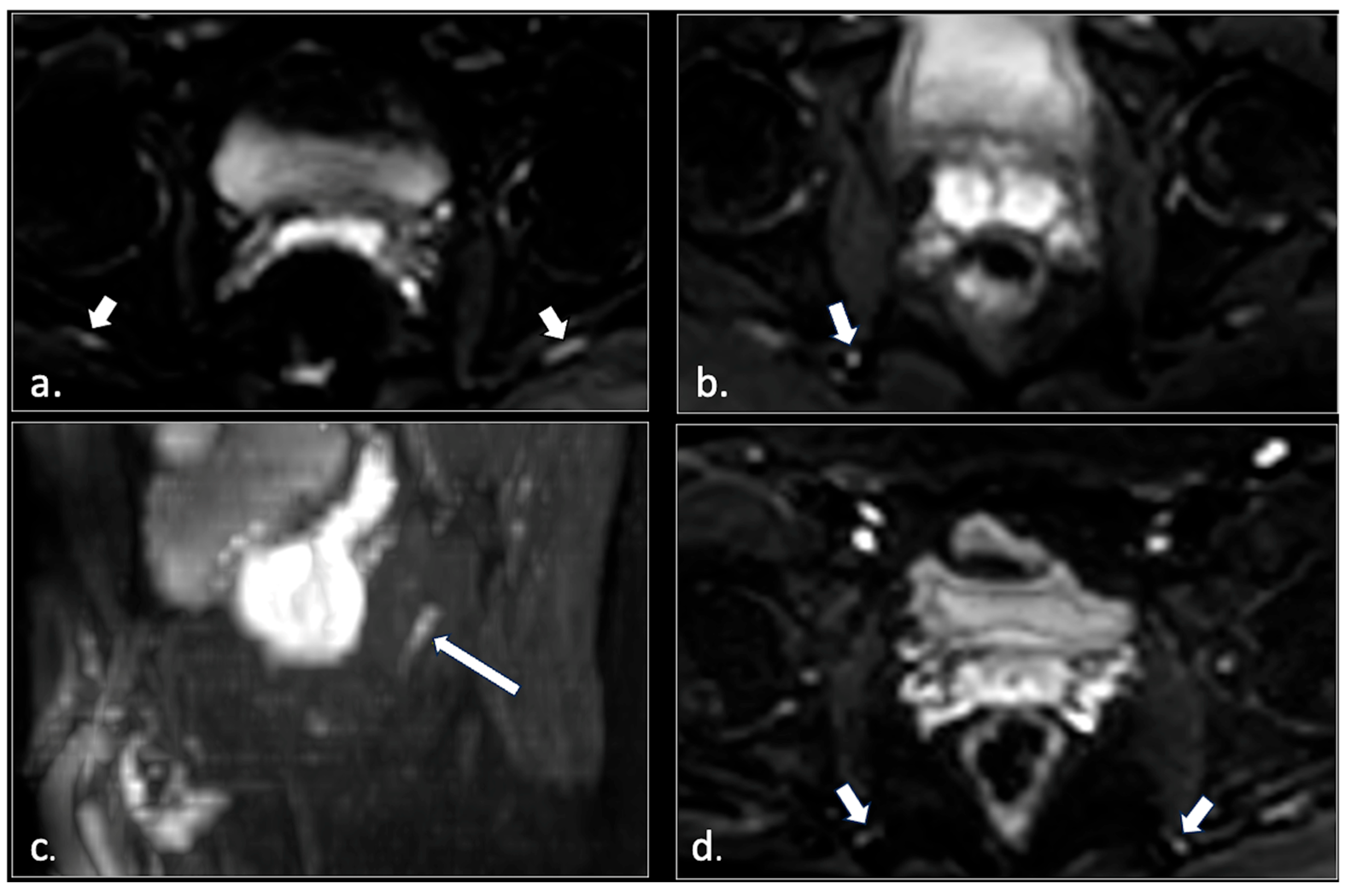 Diagnostics 16 00326 g010