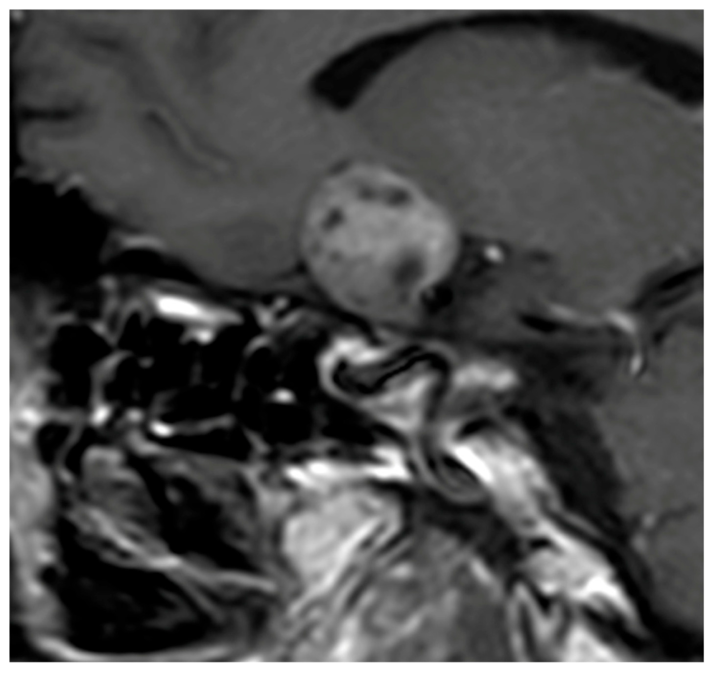 Diagnostics 16 00328 g001