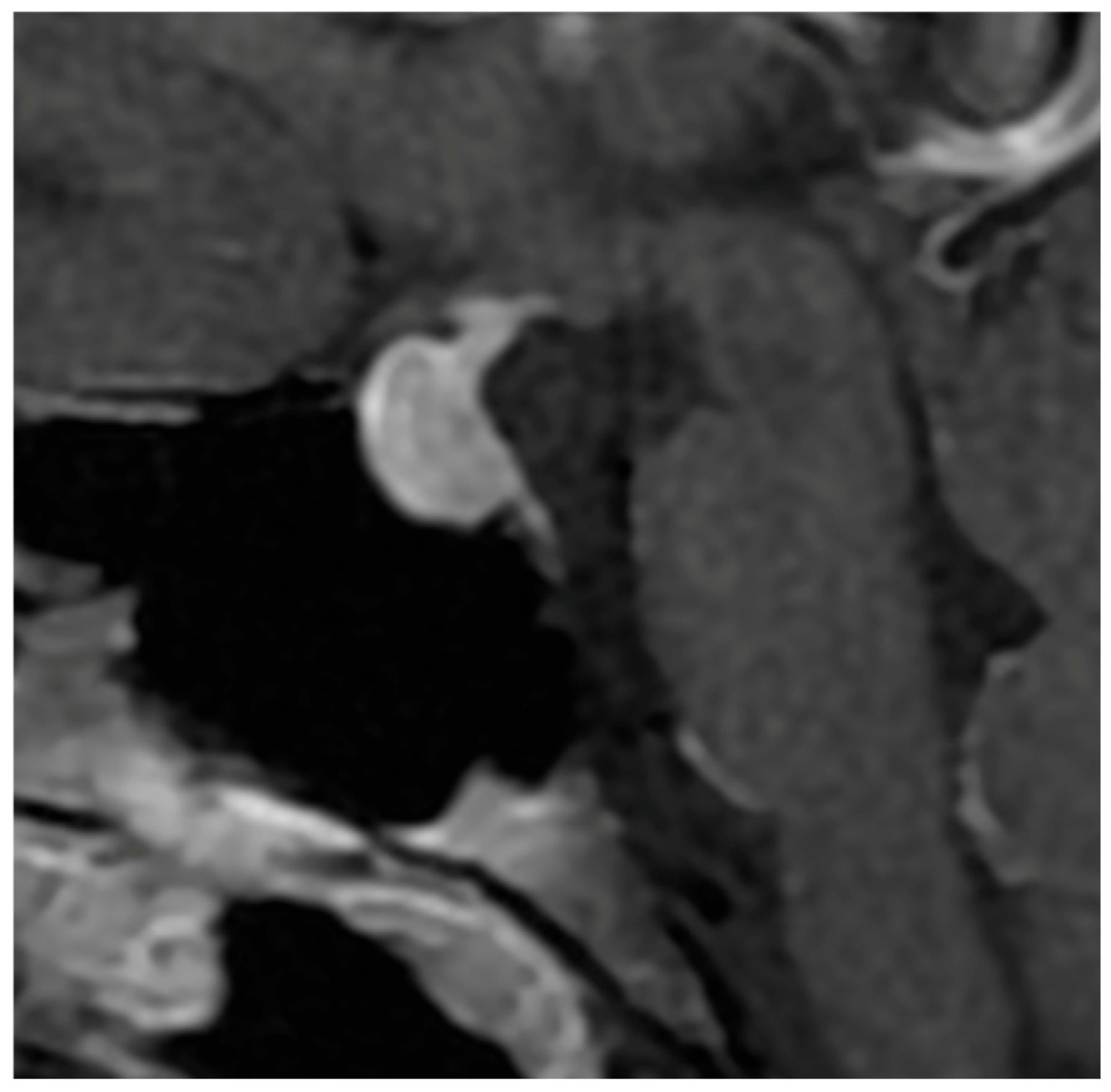 Diagnostics 16 00328 g002