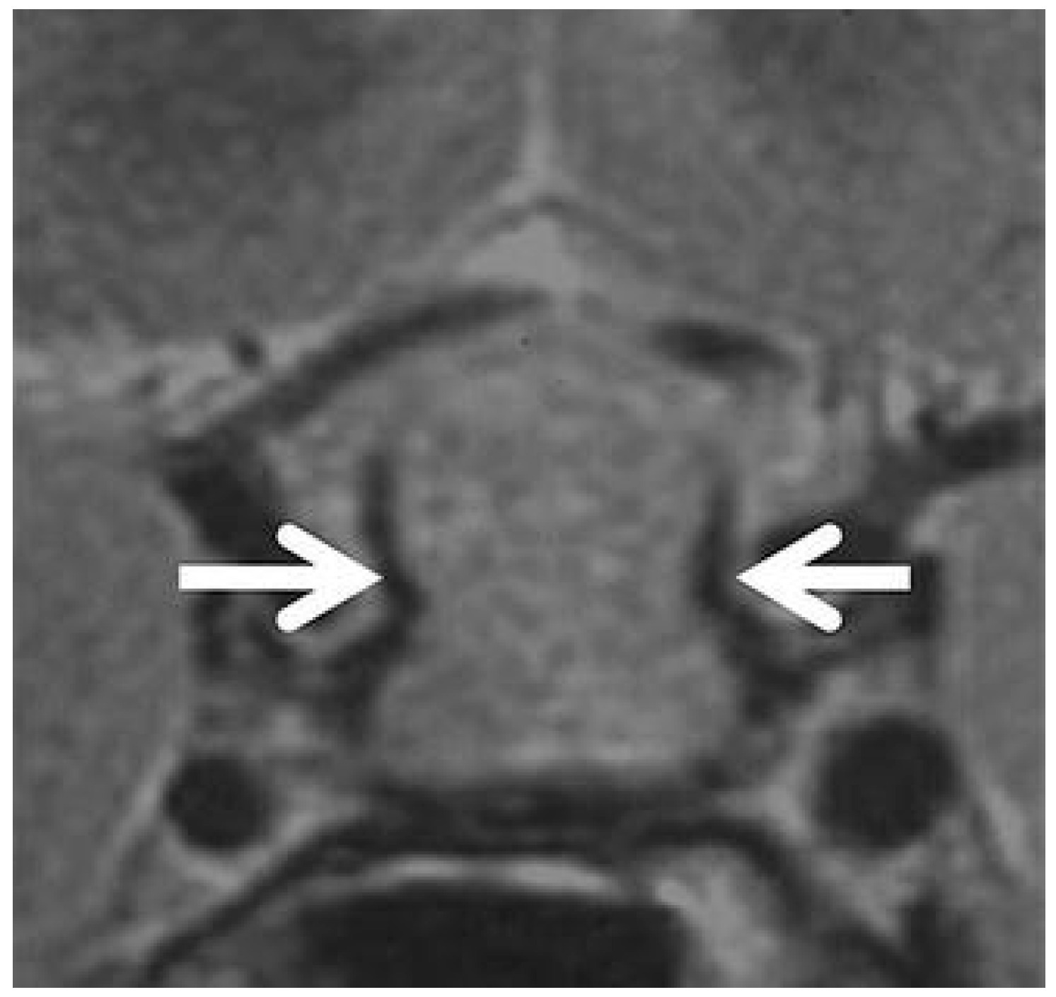 Diagnostics 16 00328 g004
