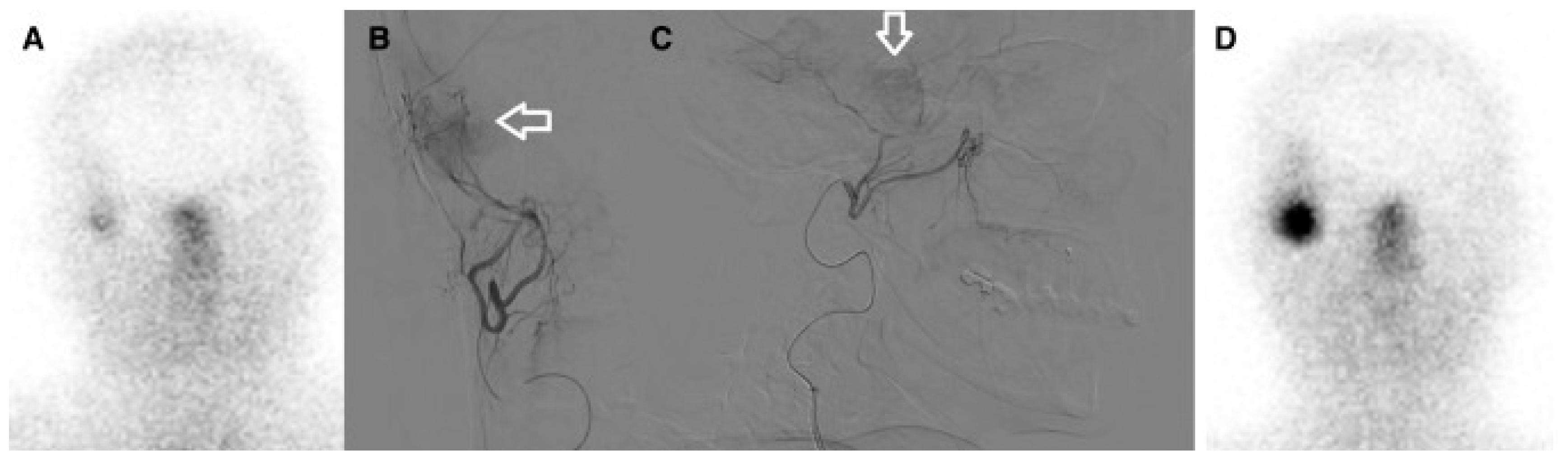 Diagnostics 16 00341 g003