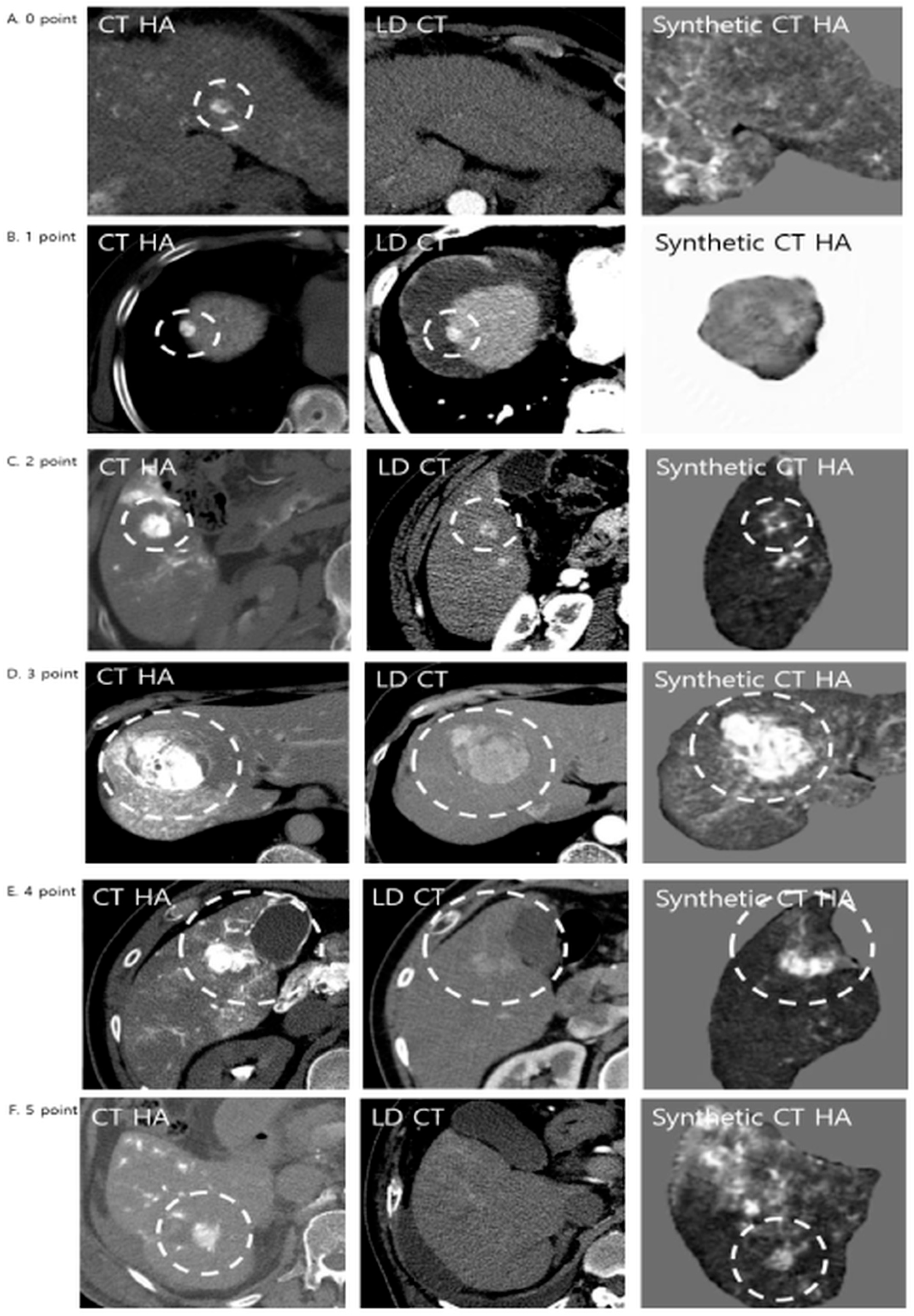 Diagnostics 16 00343 g003