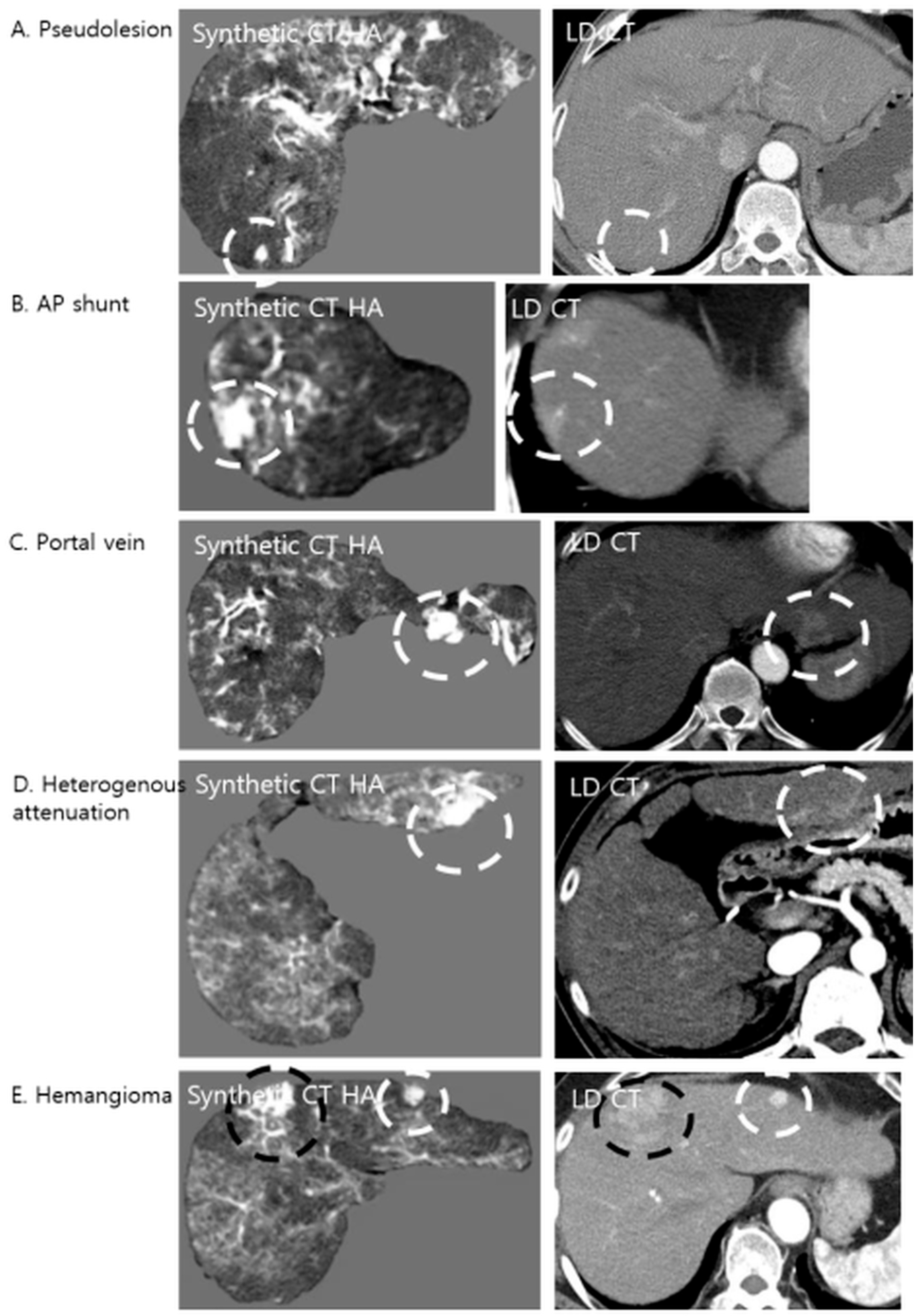 Diagnostics 16 00343 g004