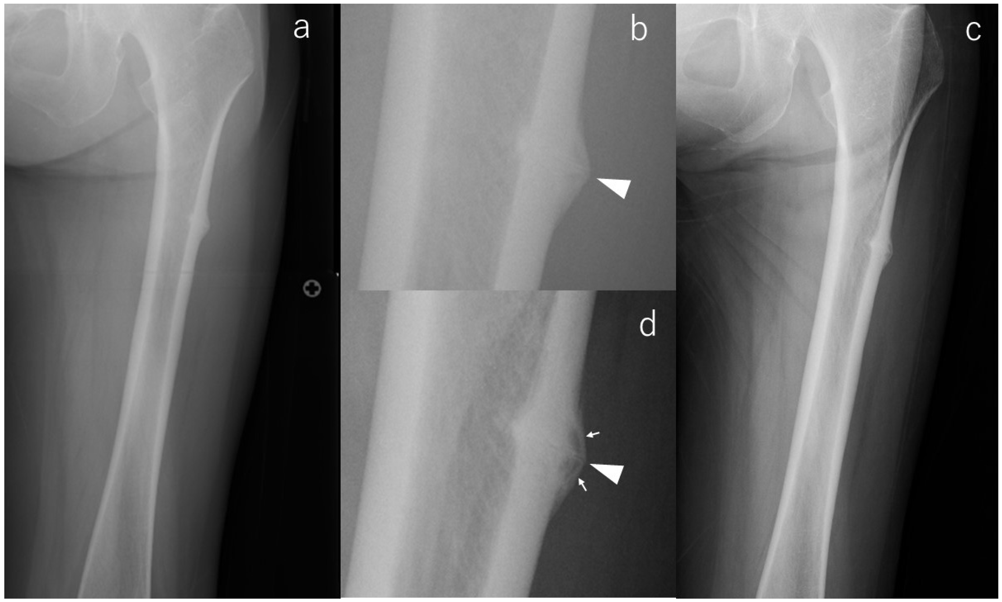 Diagnostics 16 00350 g001