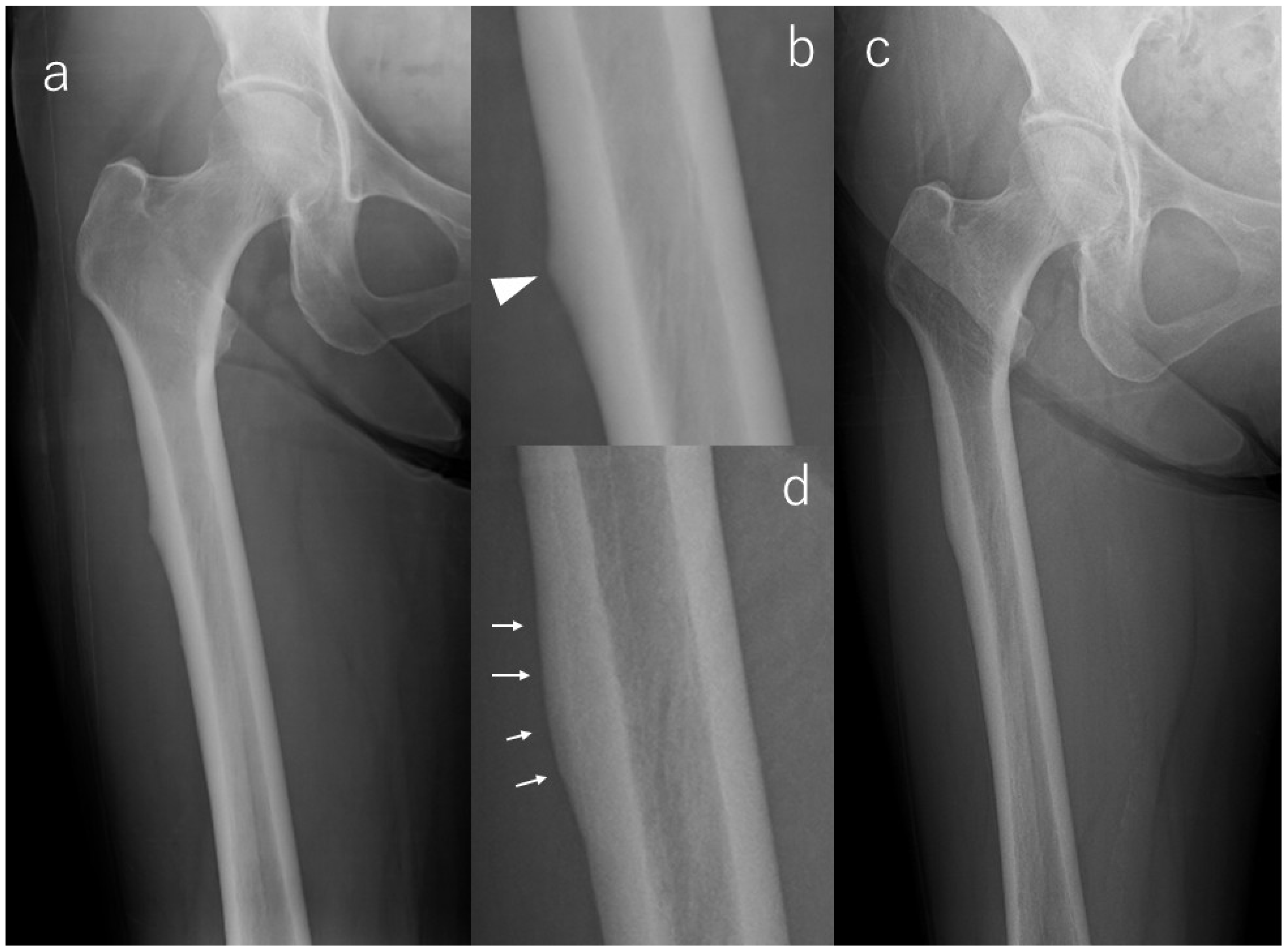 Diagnostics 16 00350 g002