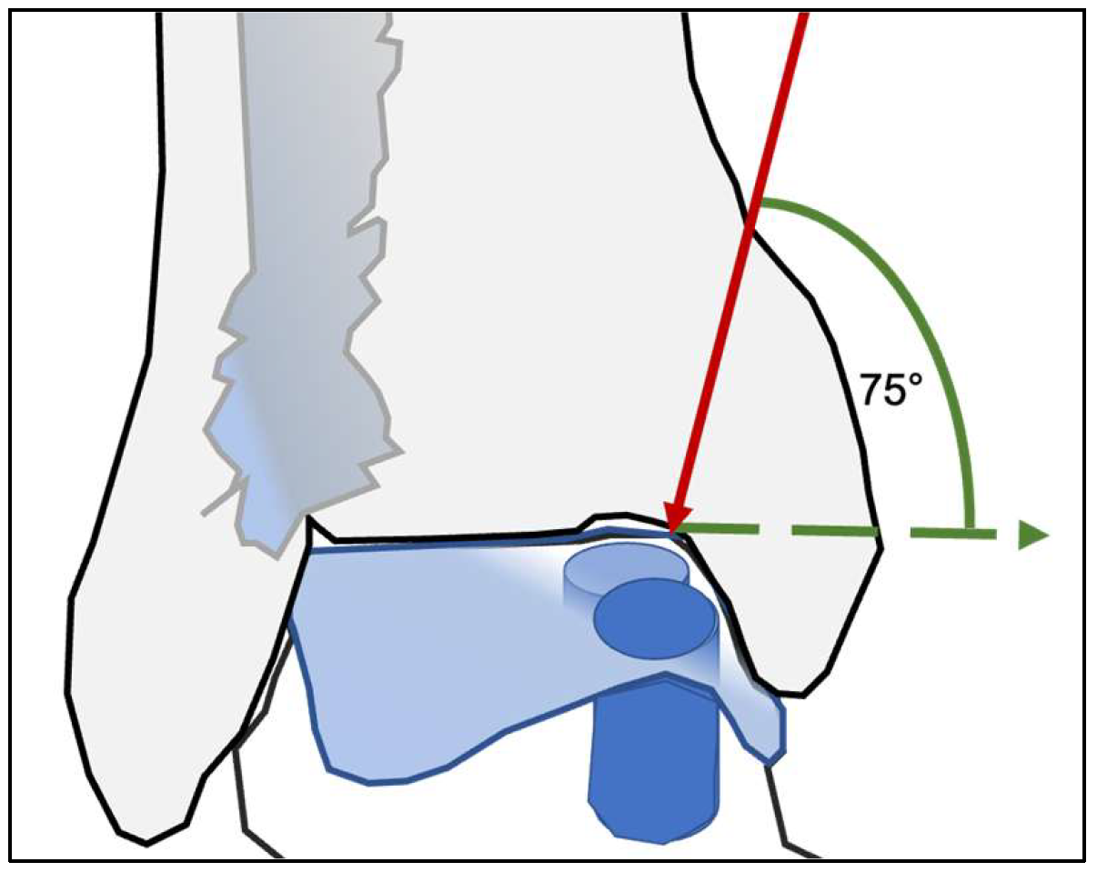 Diagnostics 16 00351 g001