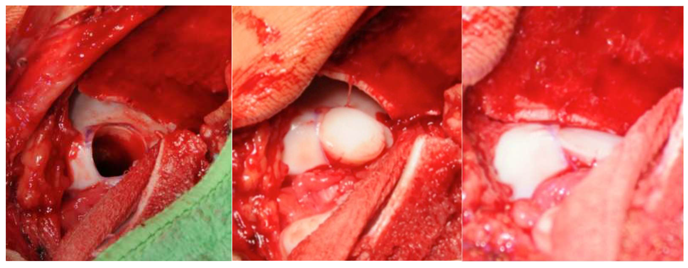 Diagnostics 16 00351 g002