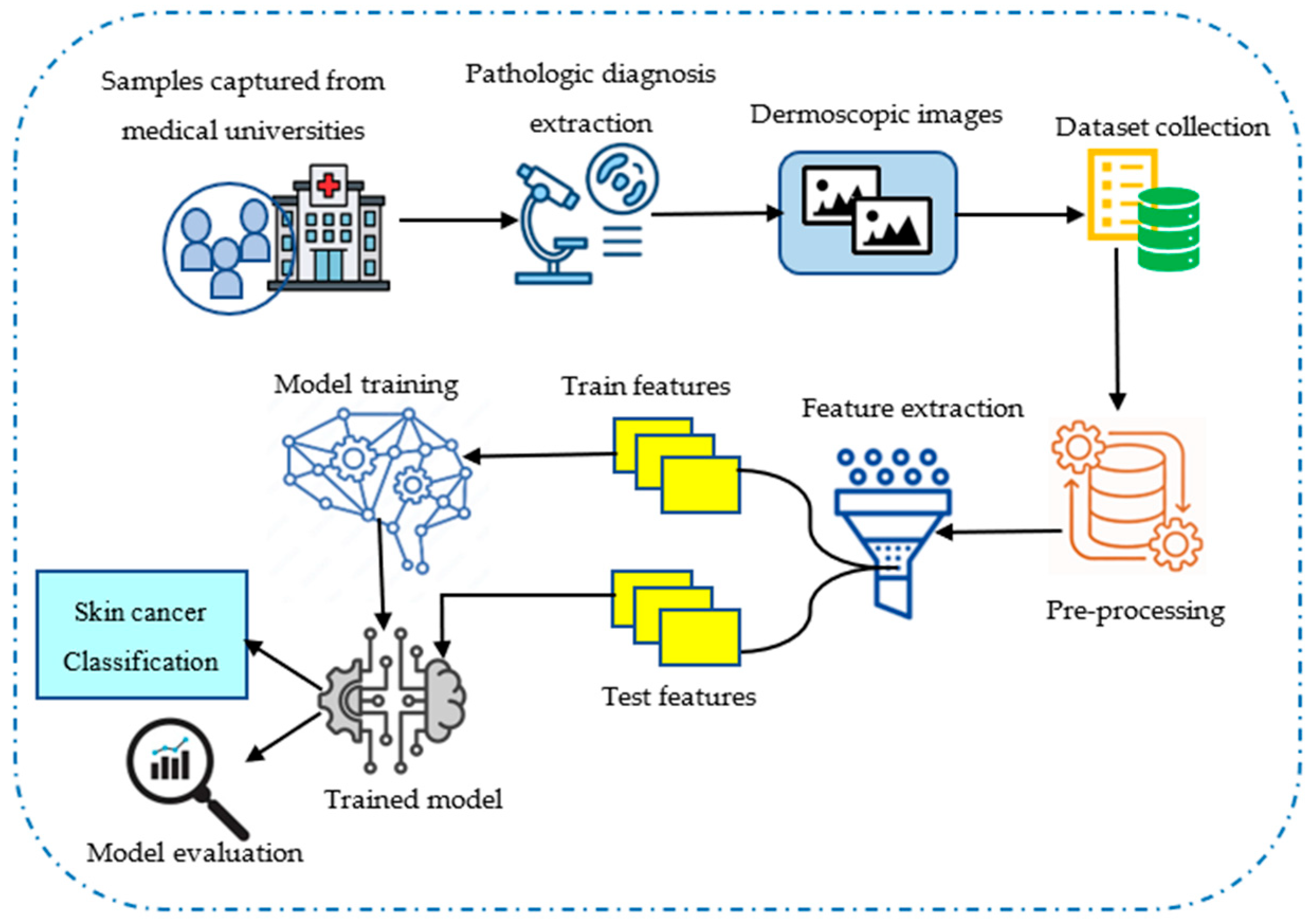 Diagnostics 16 00359 g001