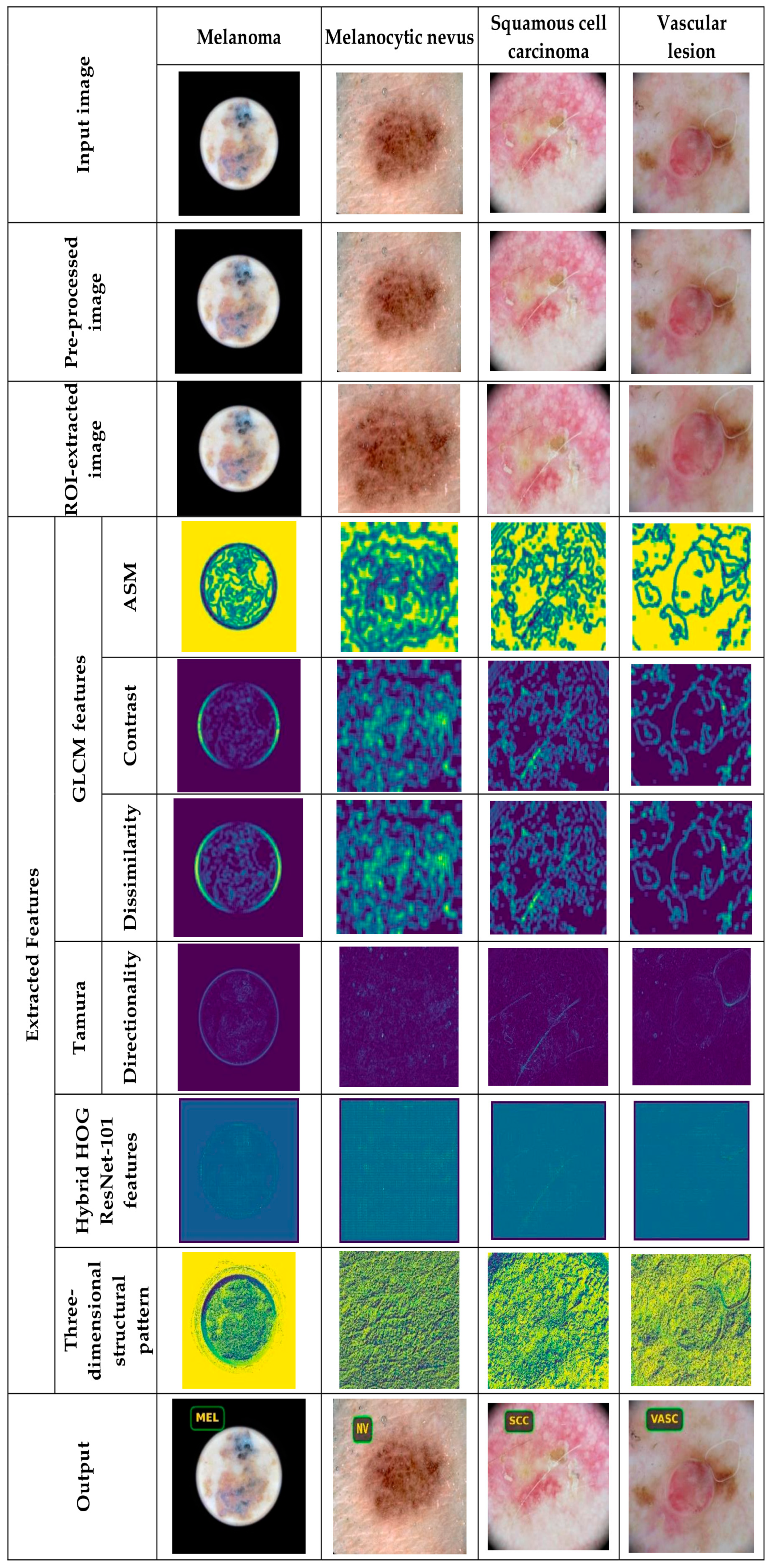 Diagnostics 16 00359 g005