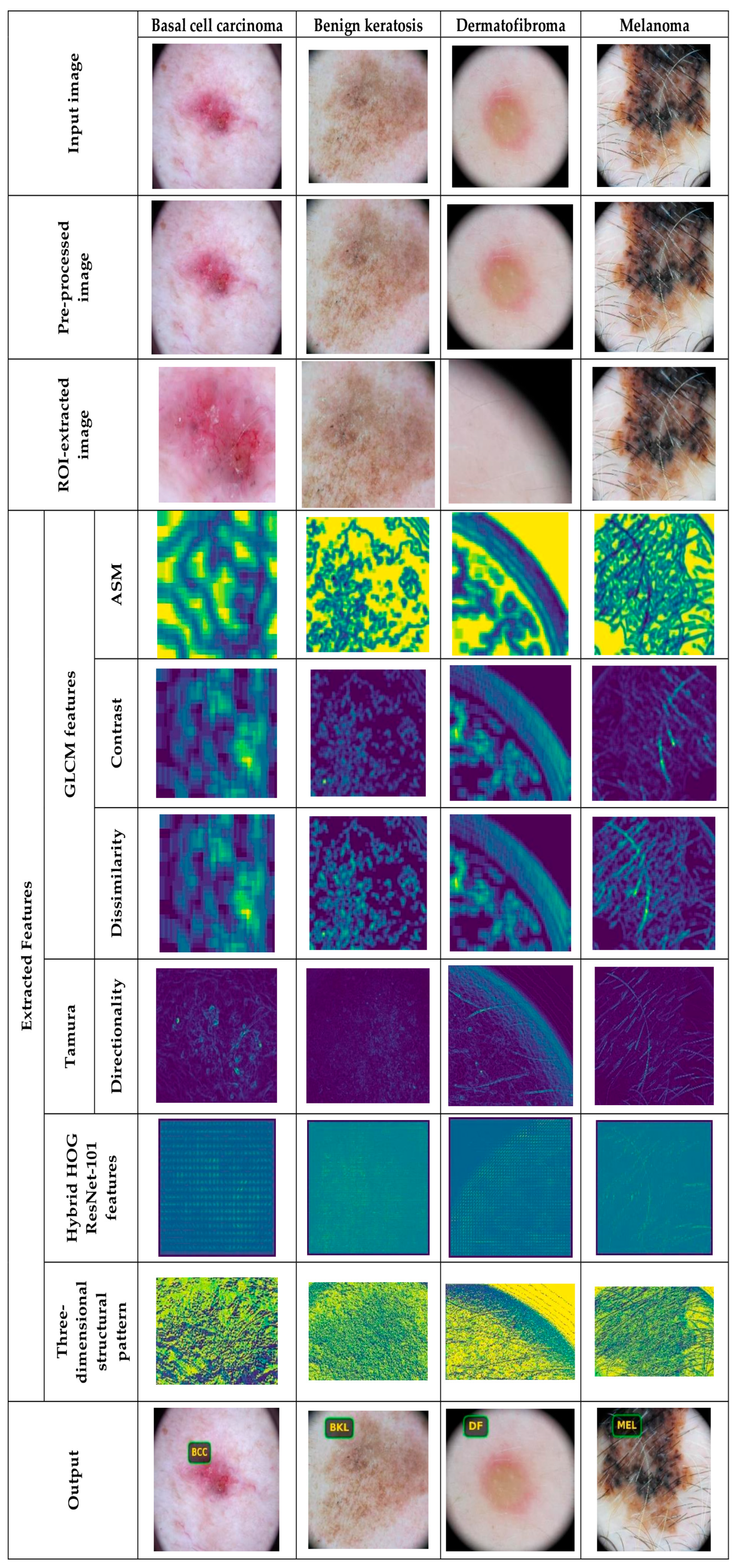 Diagnostics 16 00359 g006