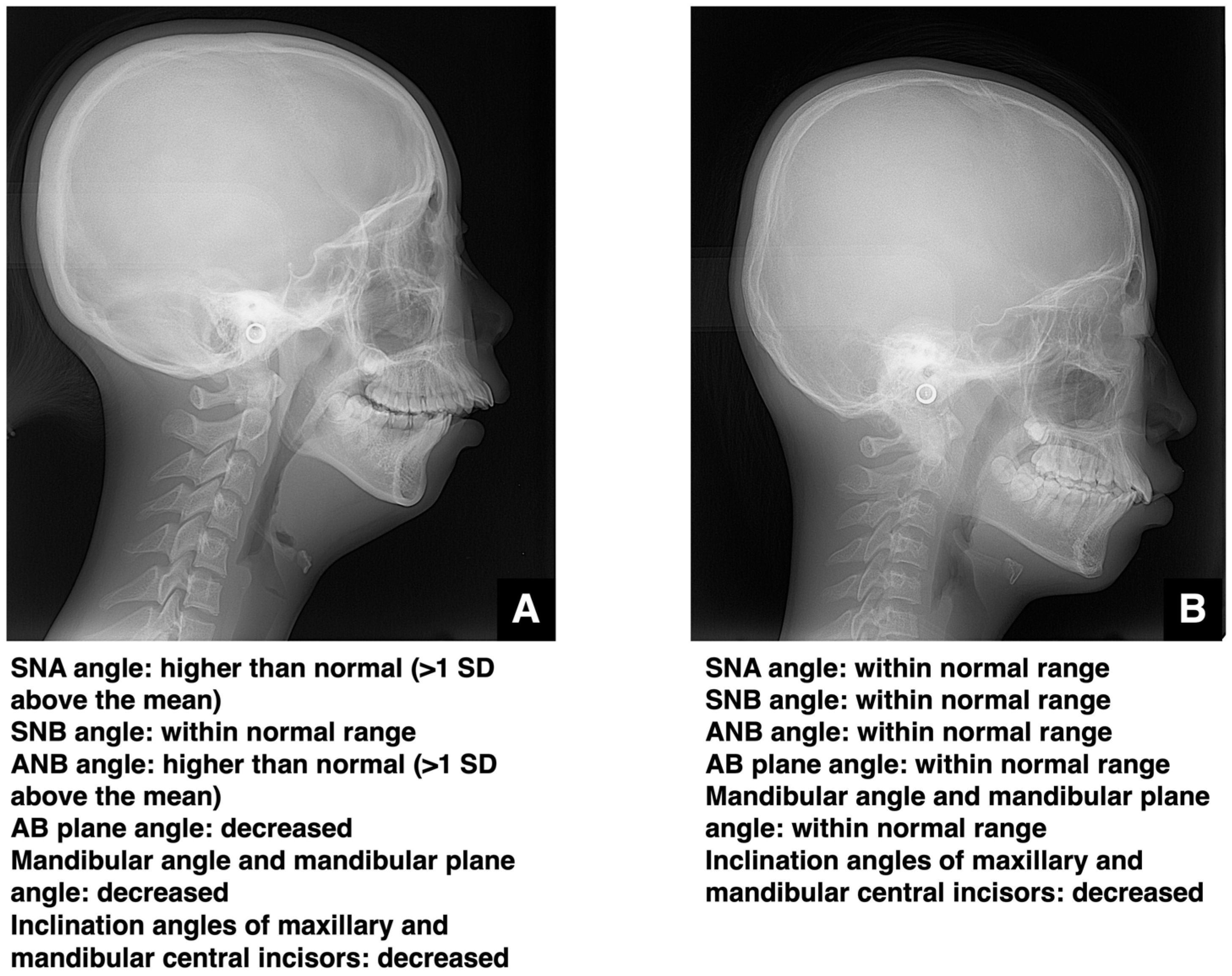 Diagnostics 16 00367 g006