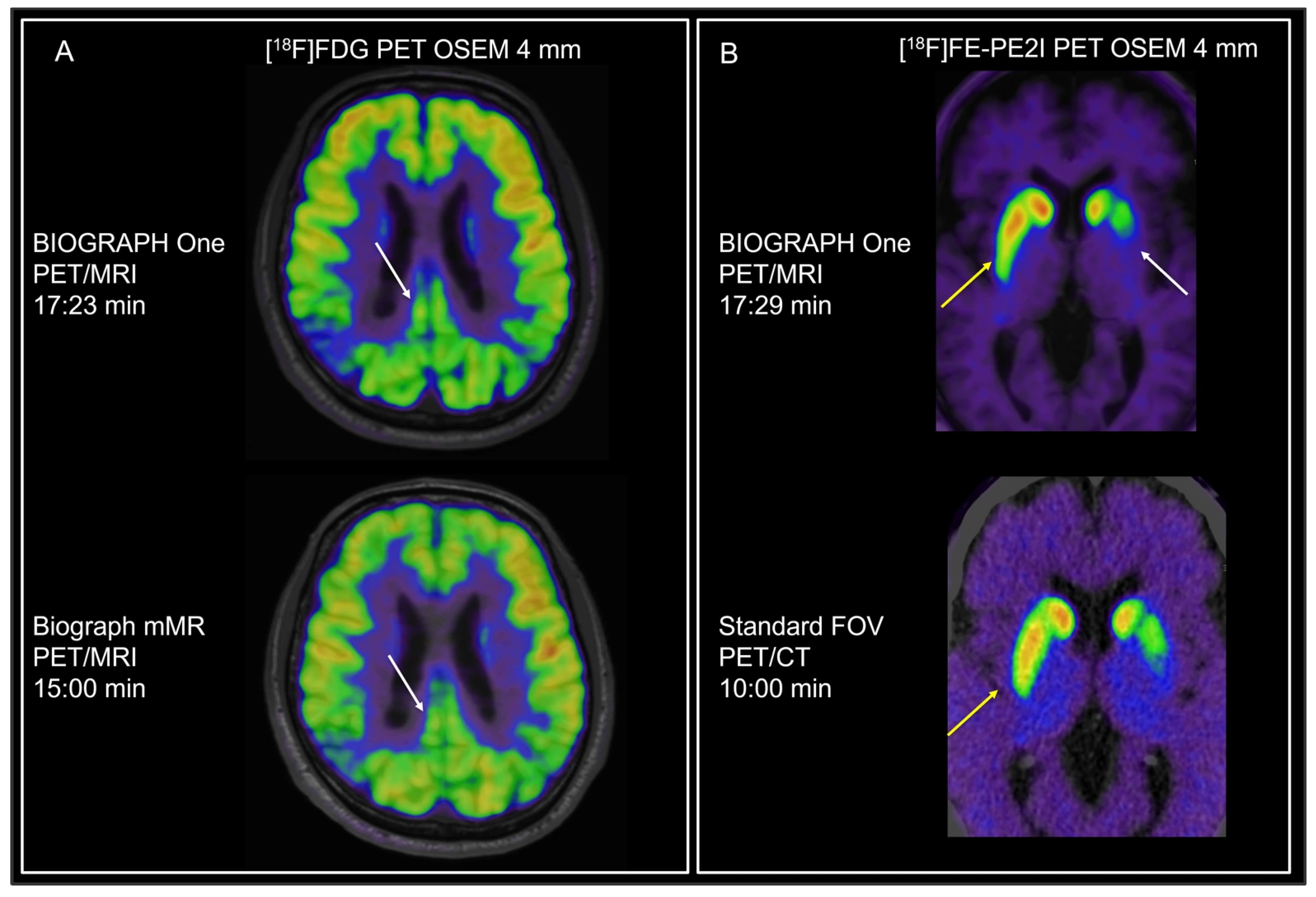 Diagnostics 16 00398 g001