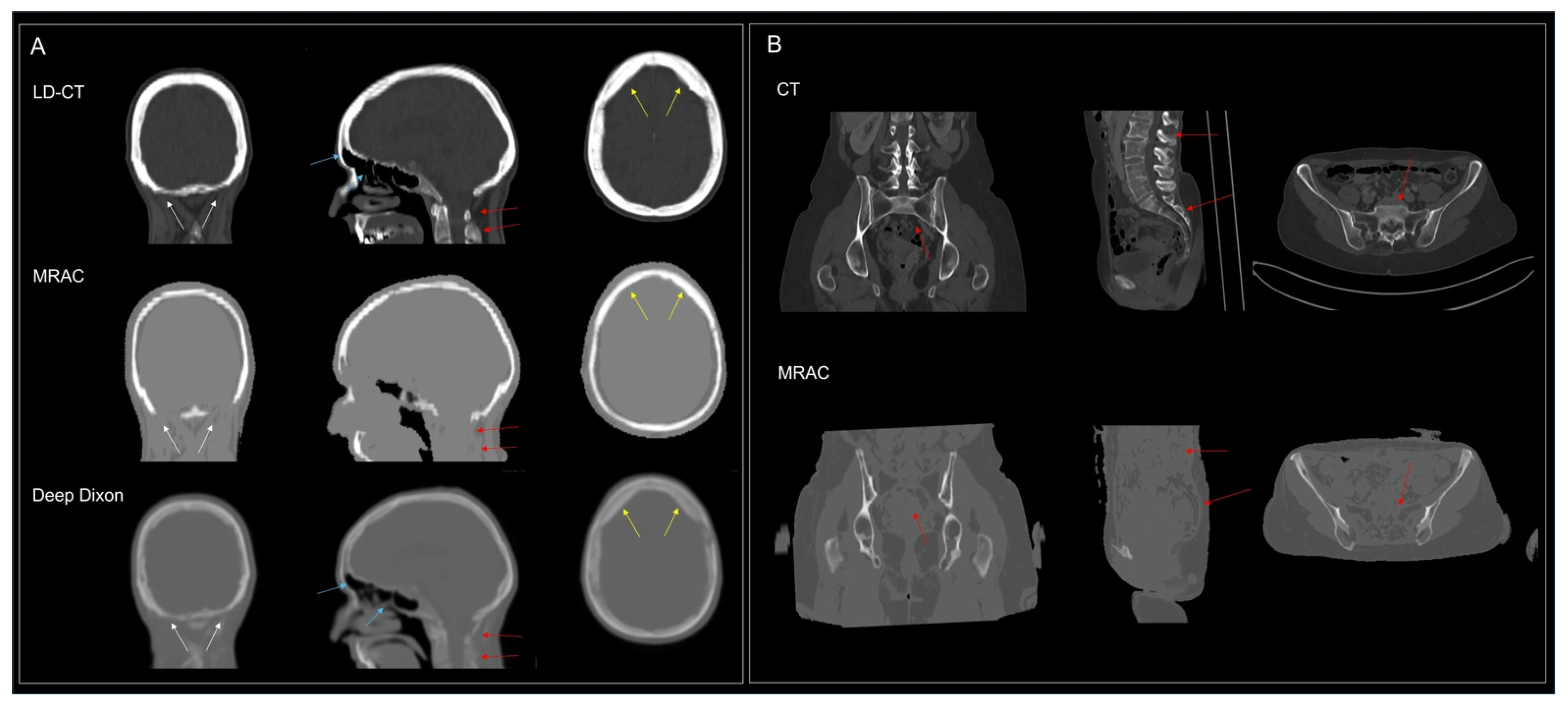 Diagnostics 16 00398 g008