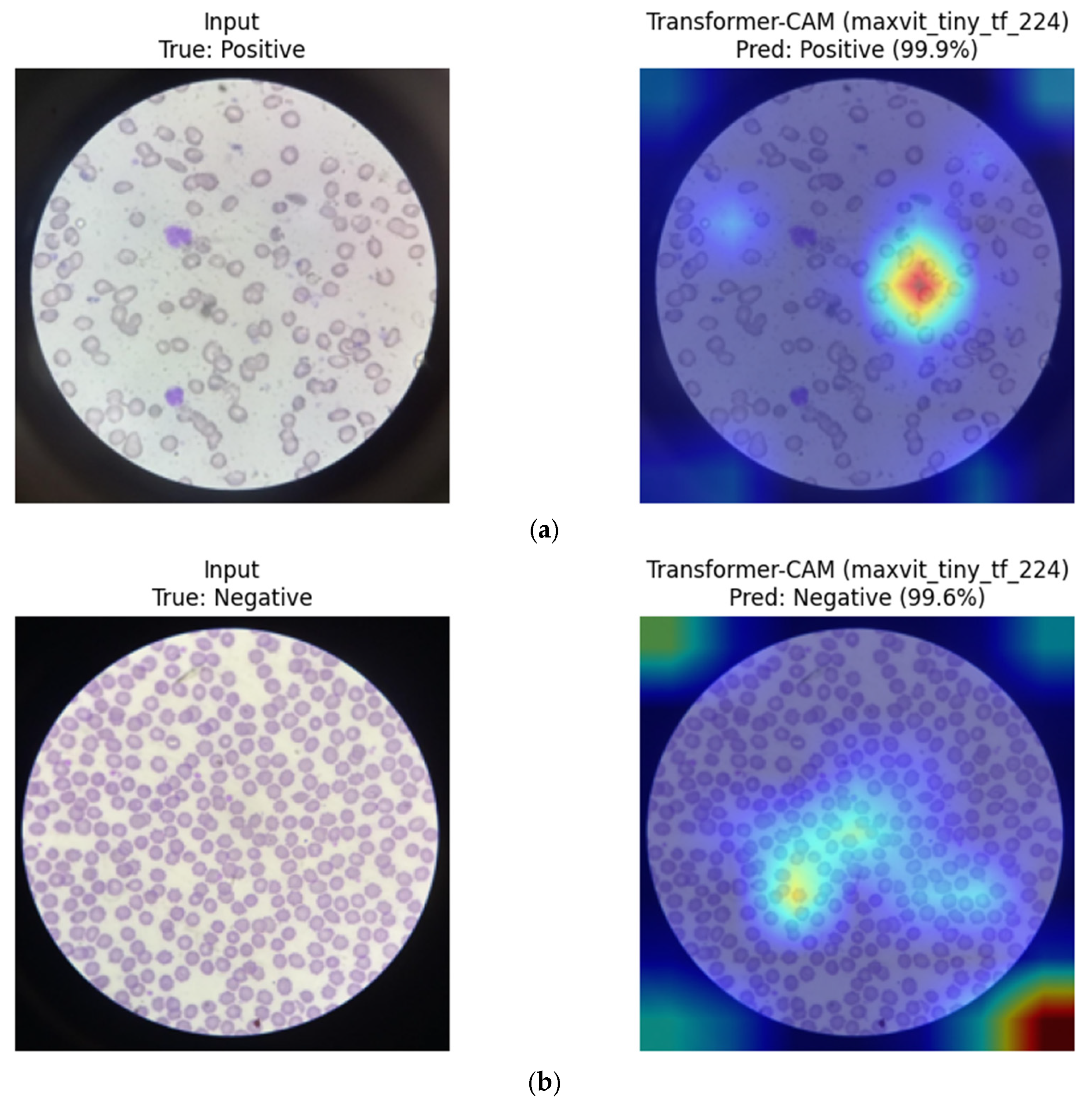 Diagnostics 16 00414 g021