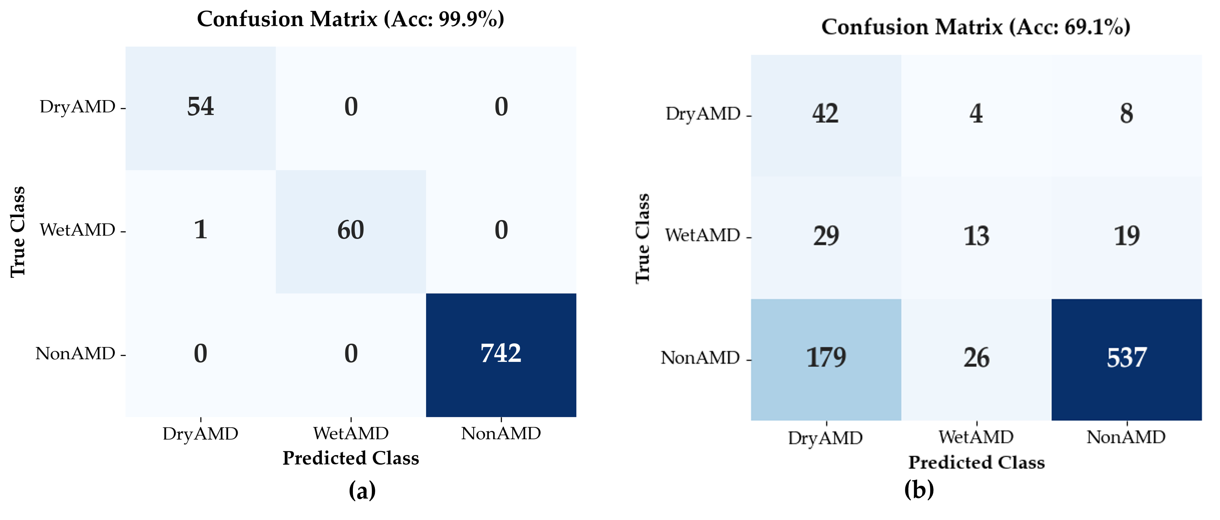 Diagnostics 16 00420 g005