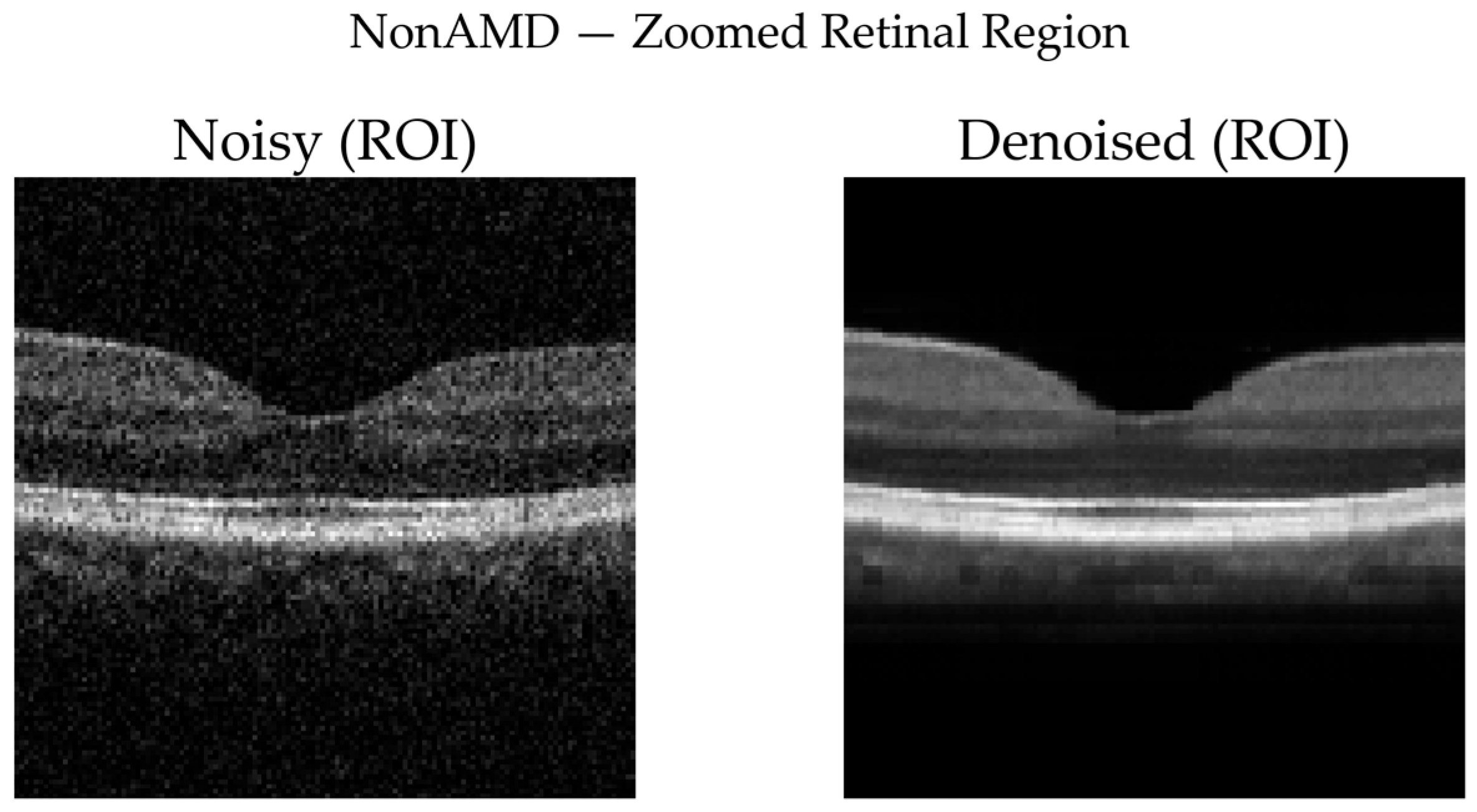 Diagnostics 16 00420 g011